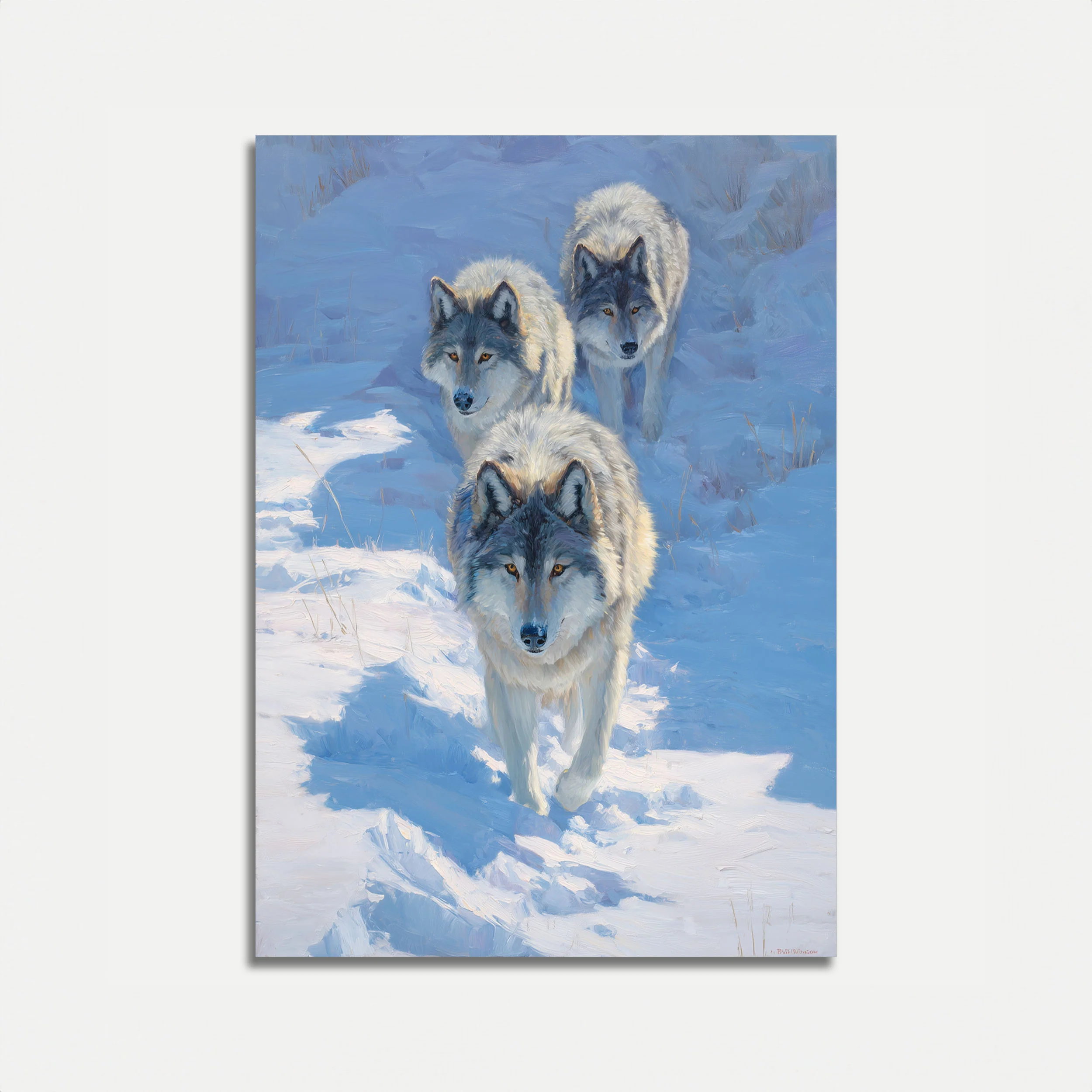 Arctic Wolves in Snow Poster