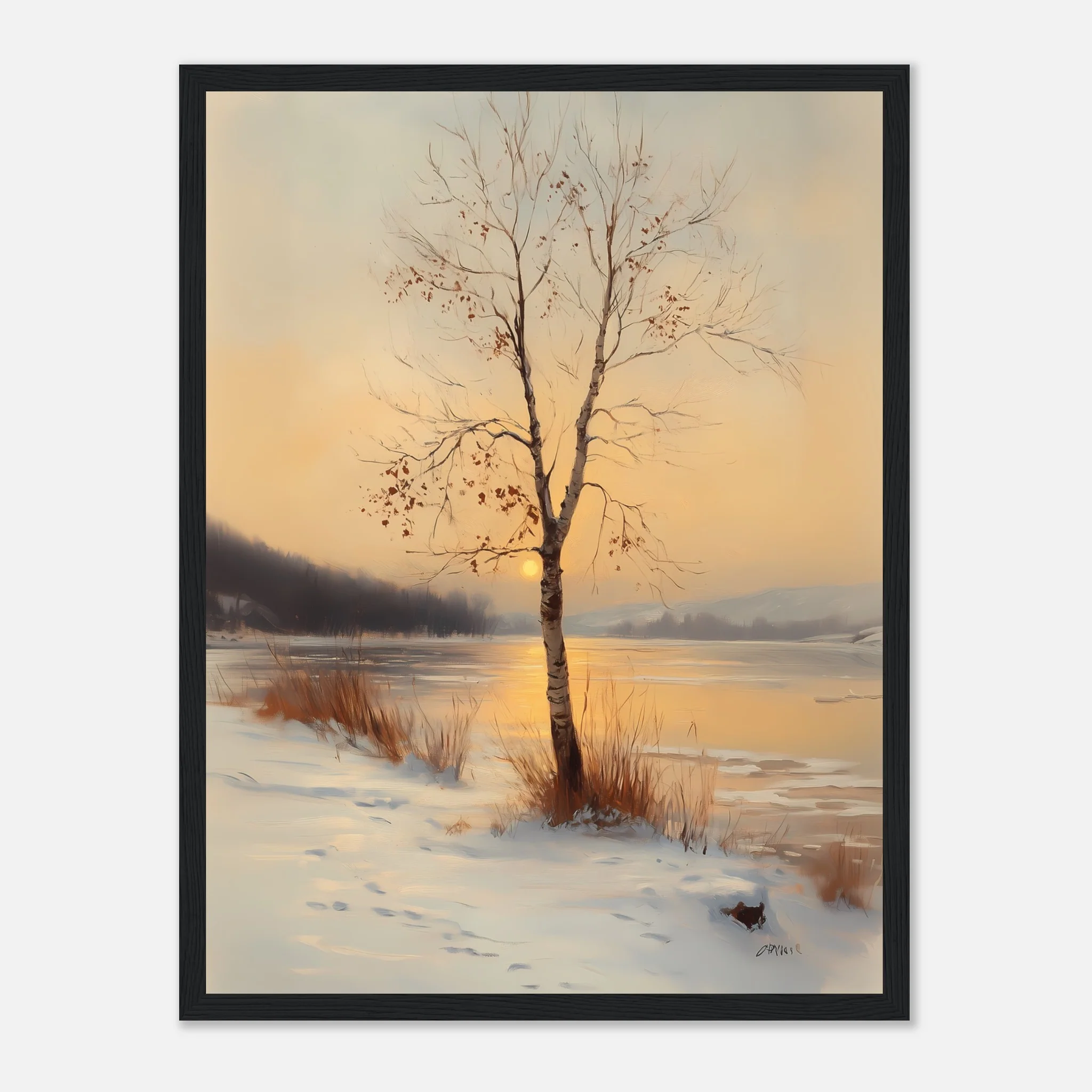 Birch in the Glow - Image 10