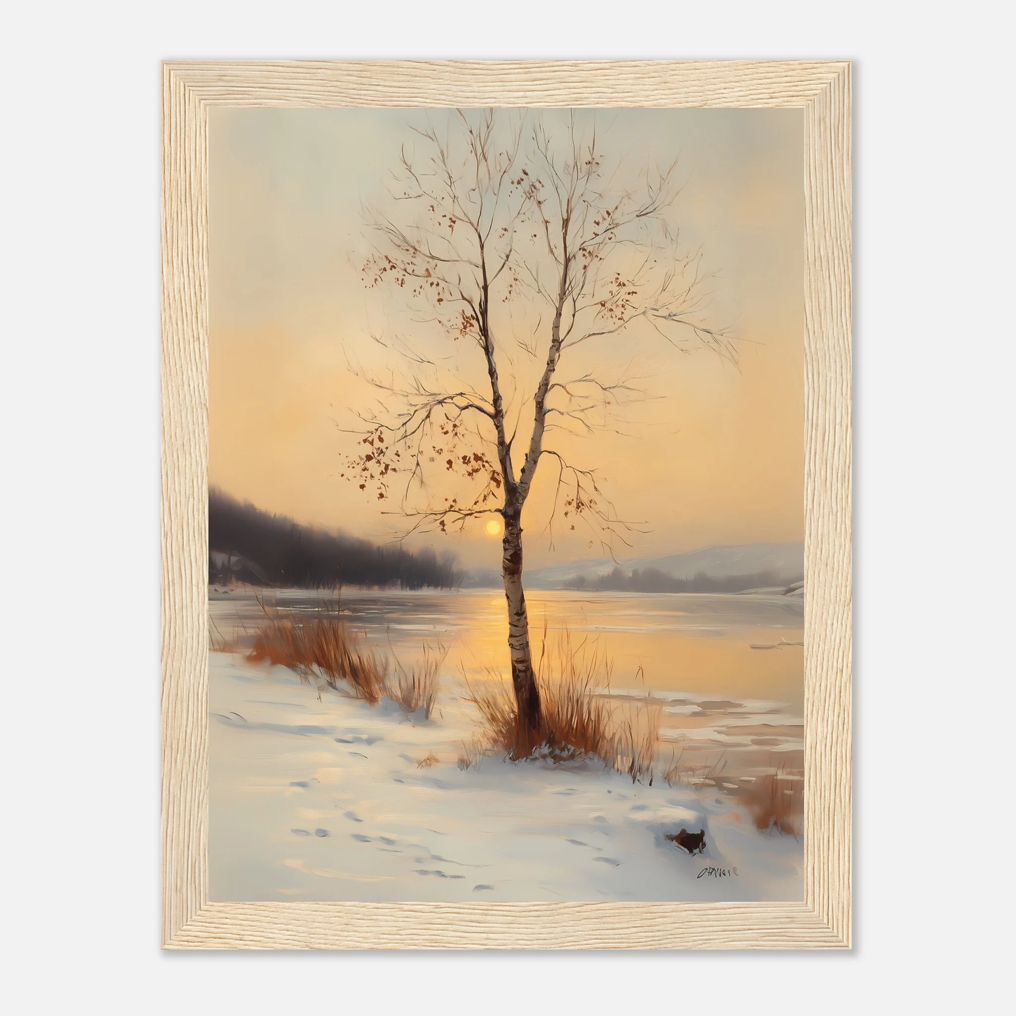 Birch in the Glow - Image 14