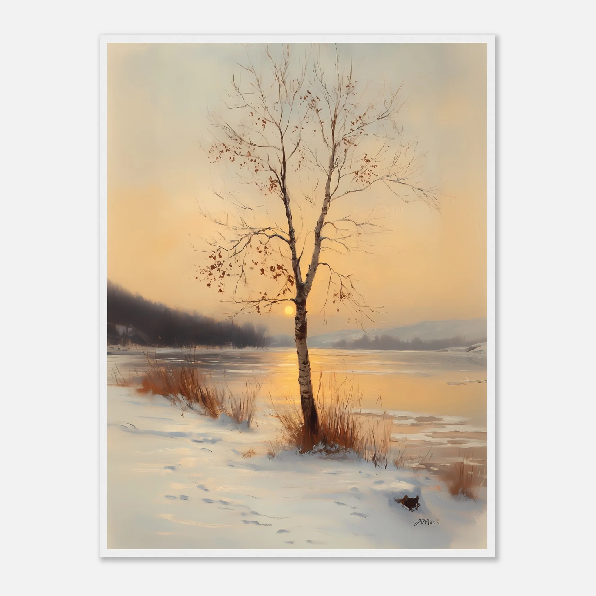Birch in the Glow - Image 16