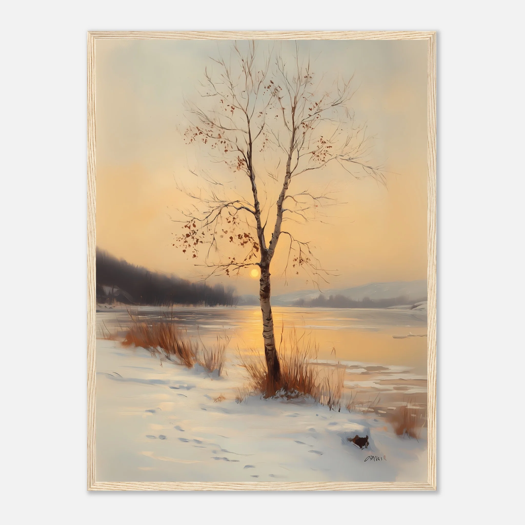 Birch in the Glow - Image 19