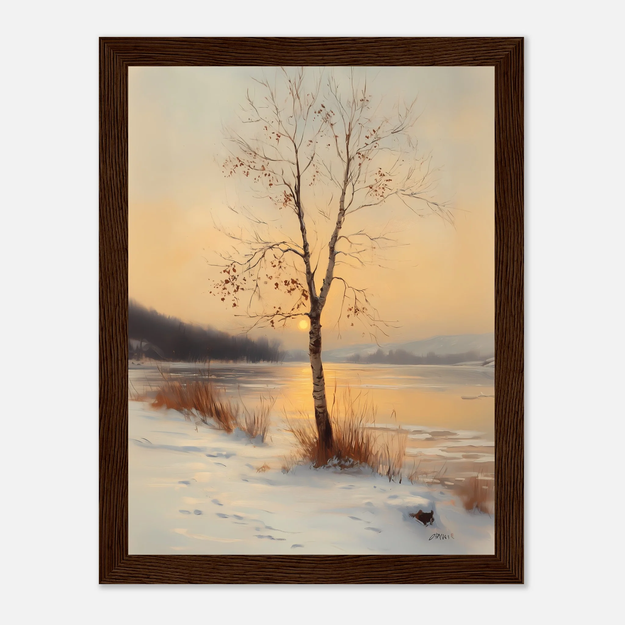 Birch in the Glow - Image 20