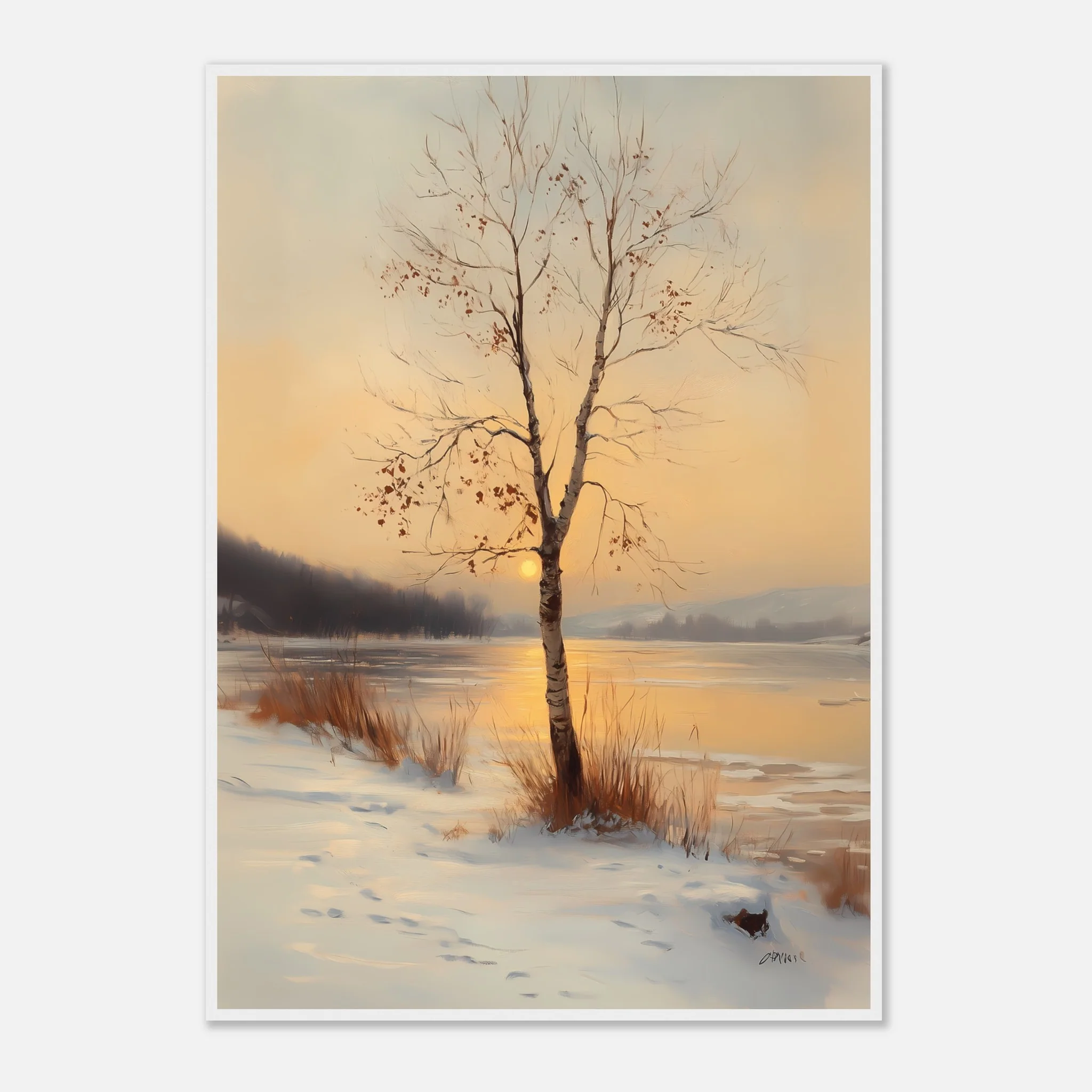 Birch in the Glow - Image 21