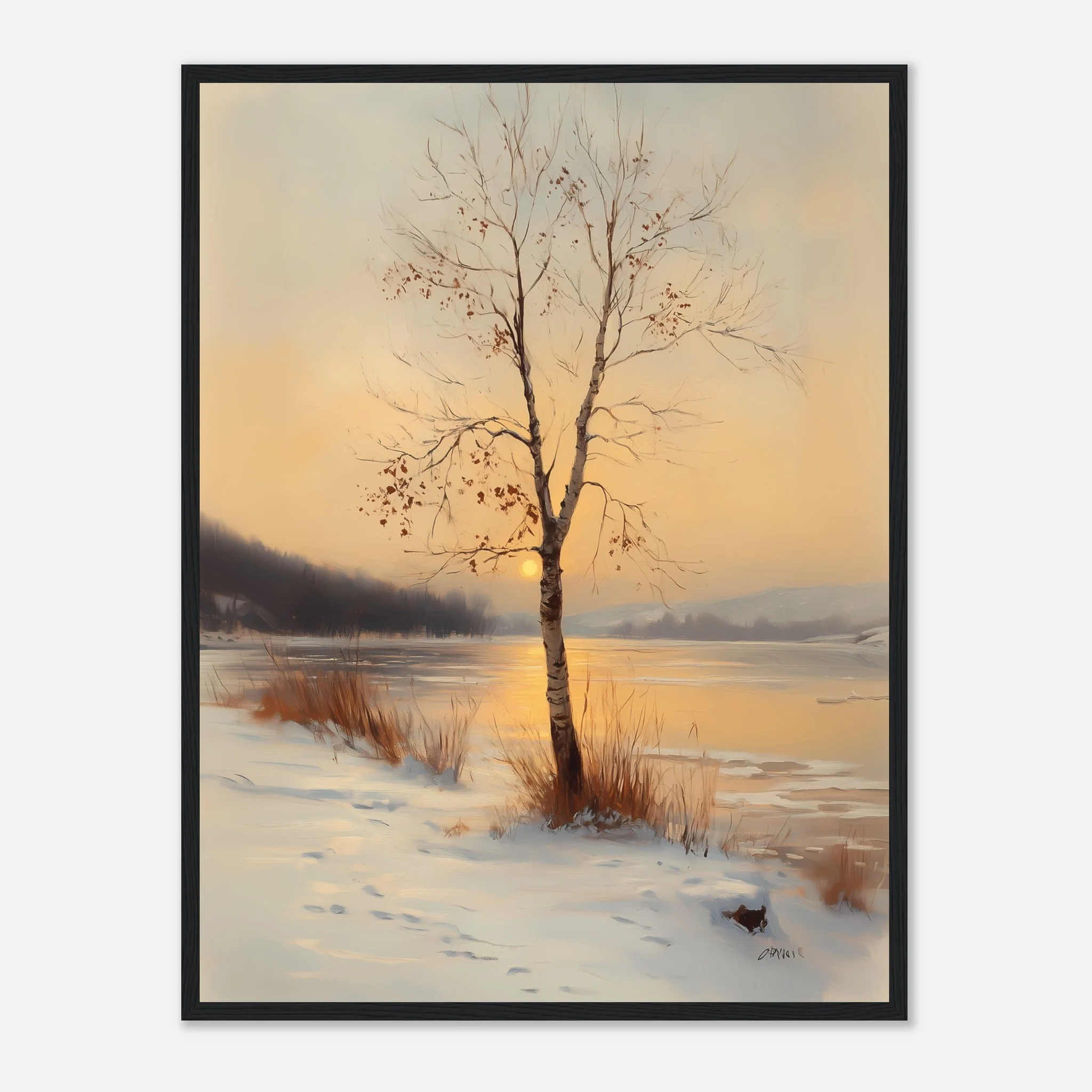 Birch in the Glow - Image 31