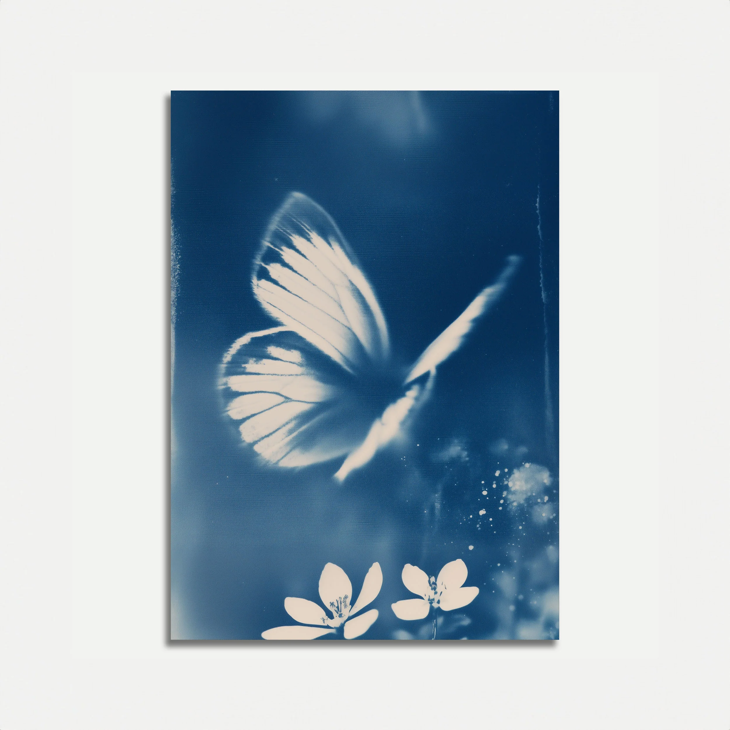 Blue Butterfly Dance Poster
