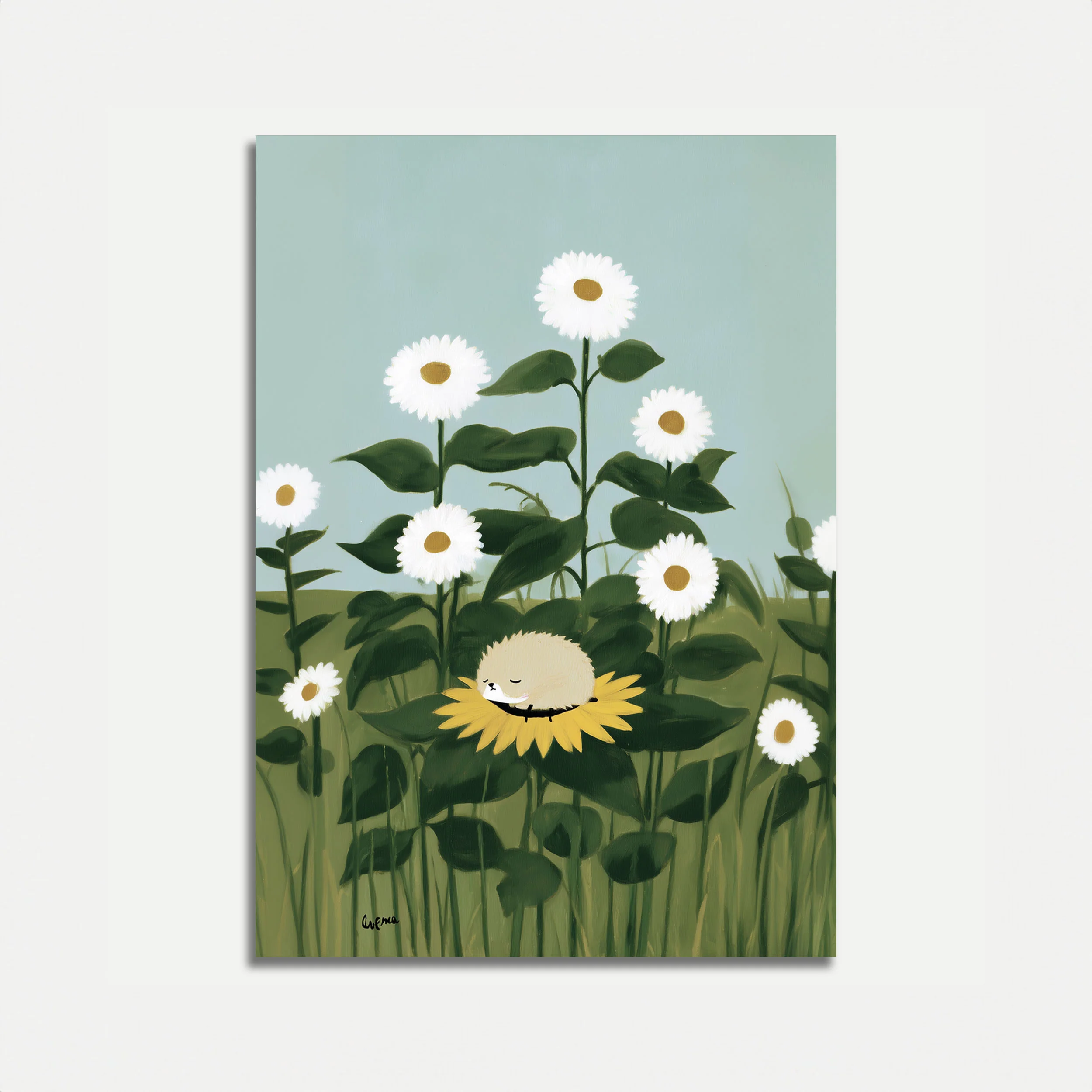 Daisy Field Contentment Poster