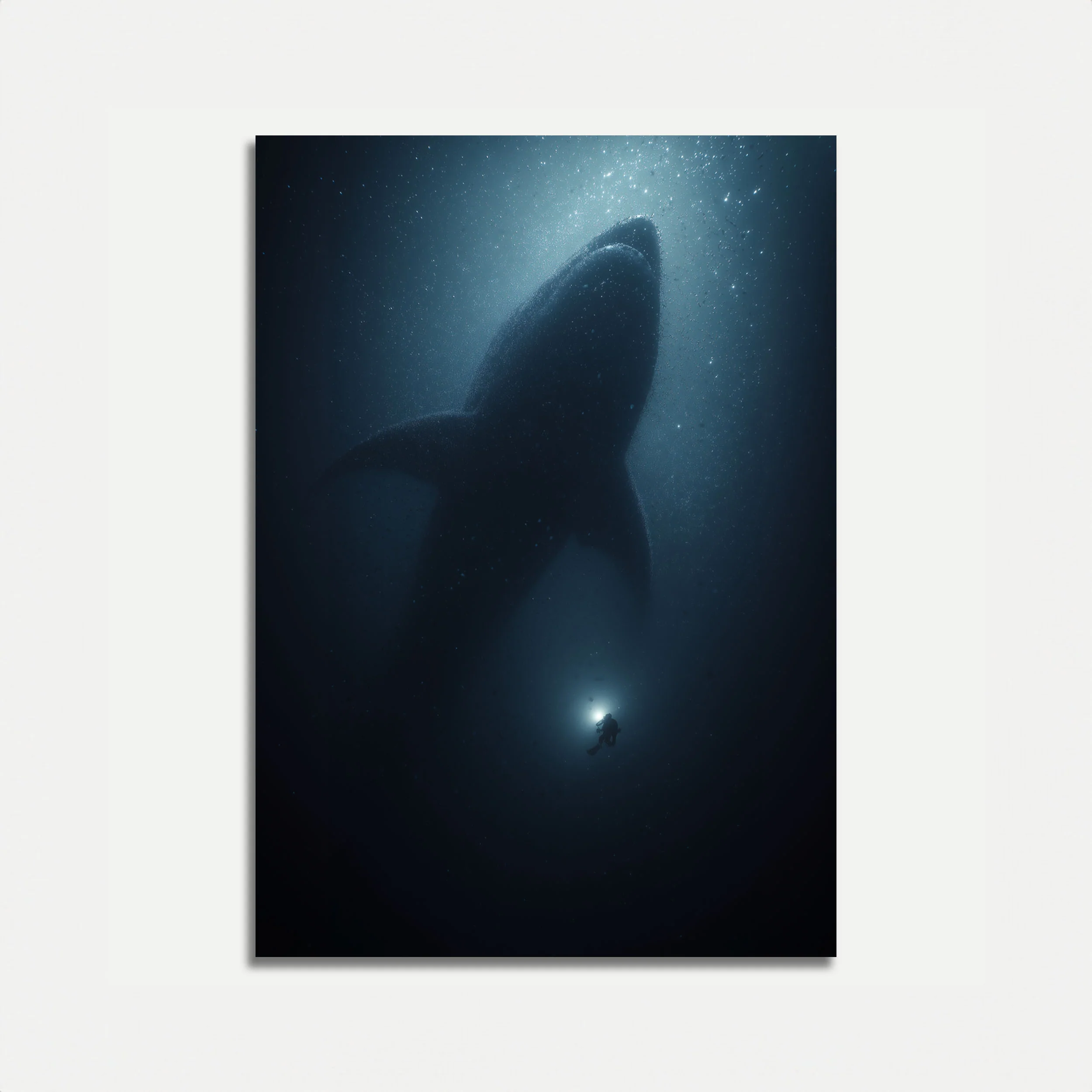 Depths of Darkness Shark Poster