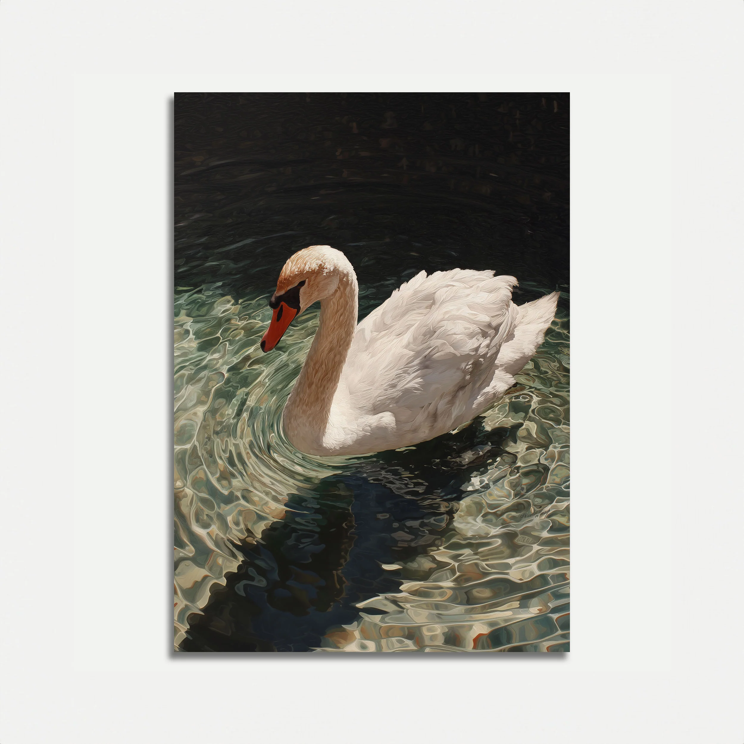 Elegant Swan Water Poster