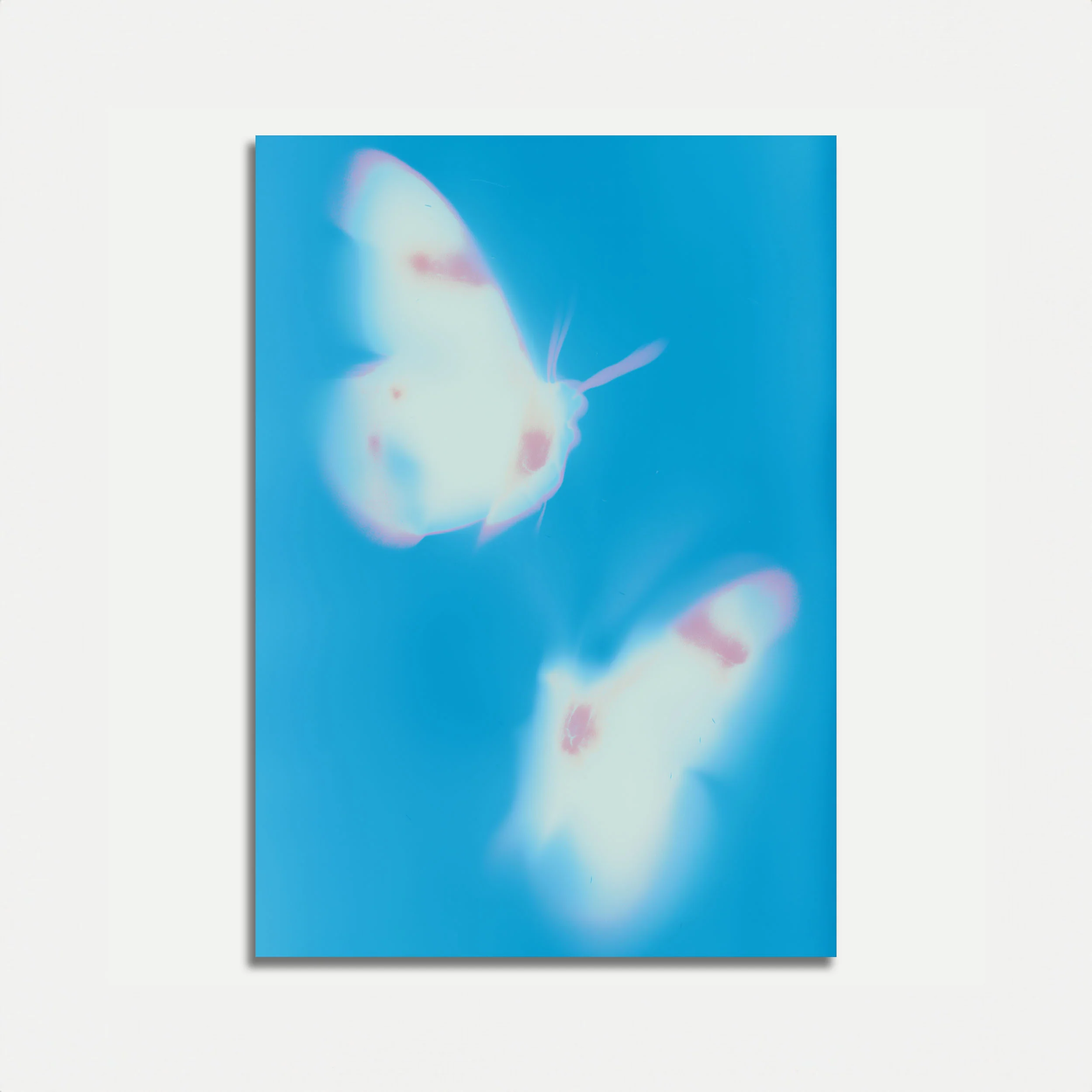 Ethereal Blue Butterfly Poster