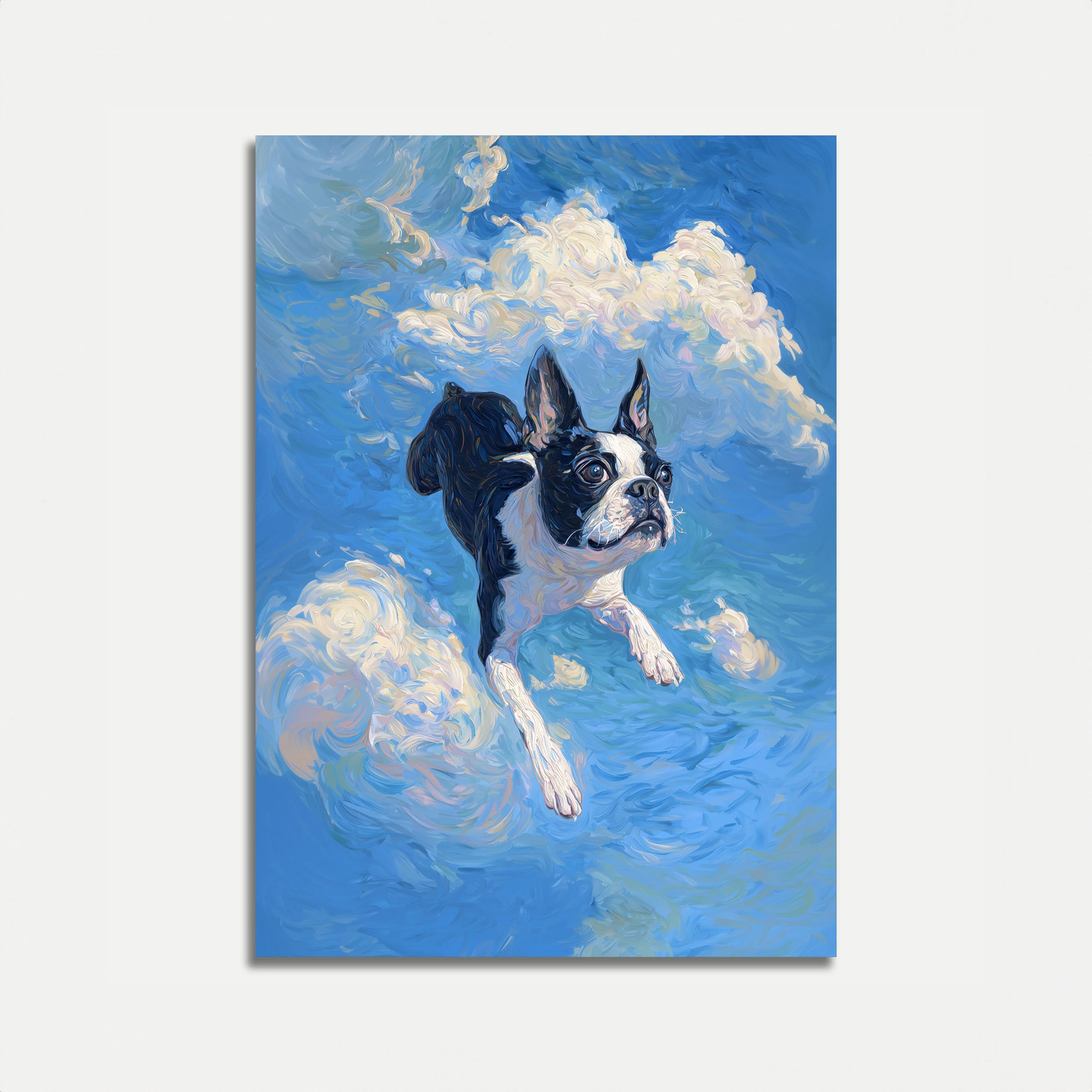 Floating Boston Terrier Poster