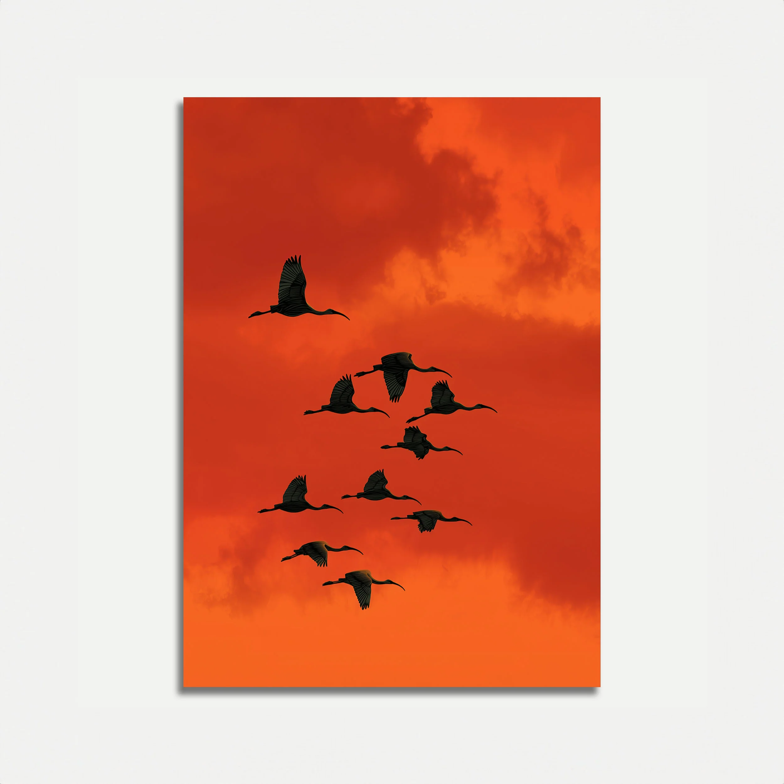 Flying Cranes Against Sunset Poster