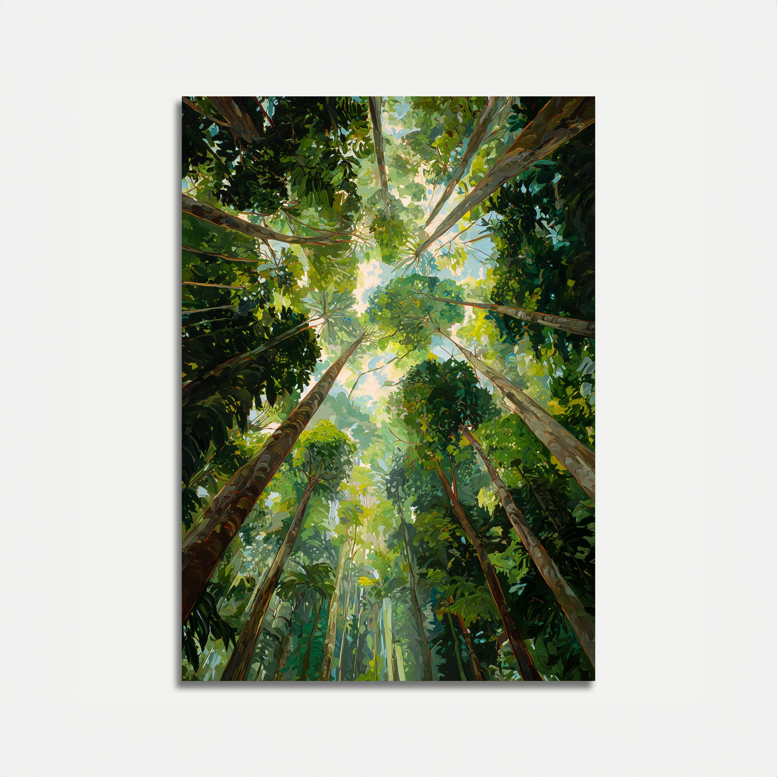 Forest Canopy Looking Up Poster