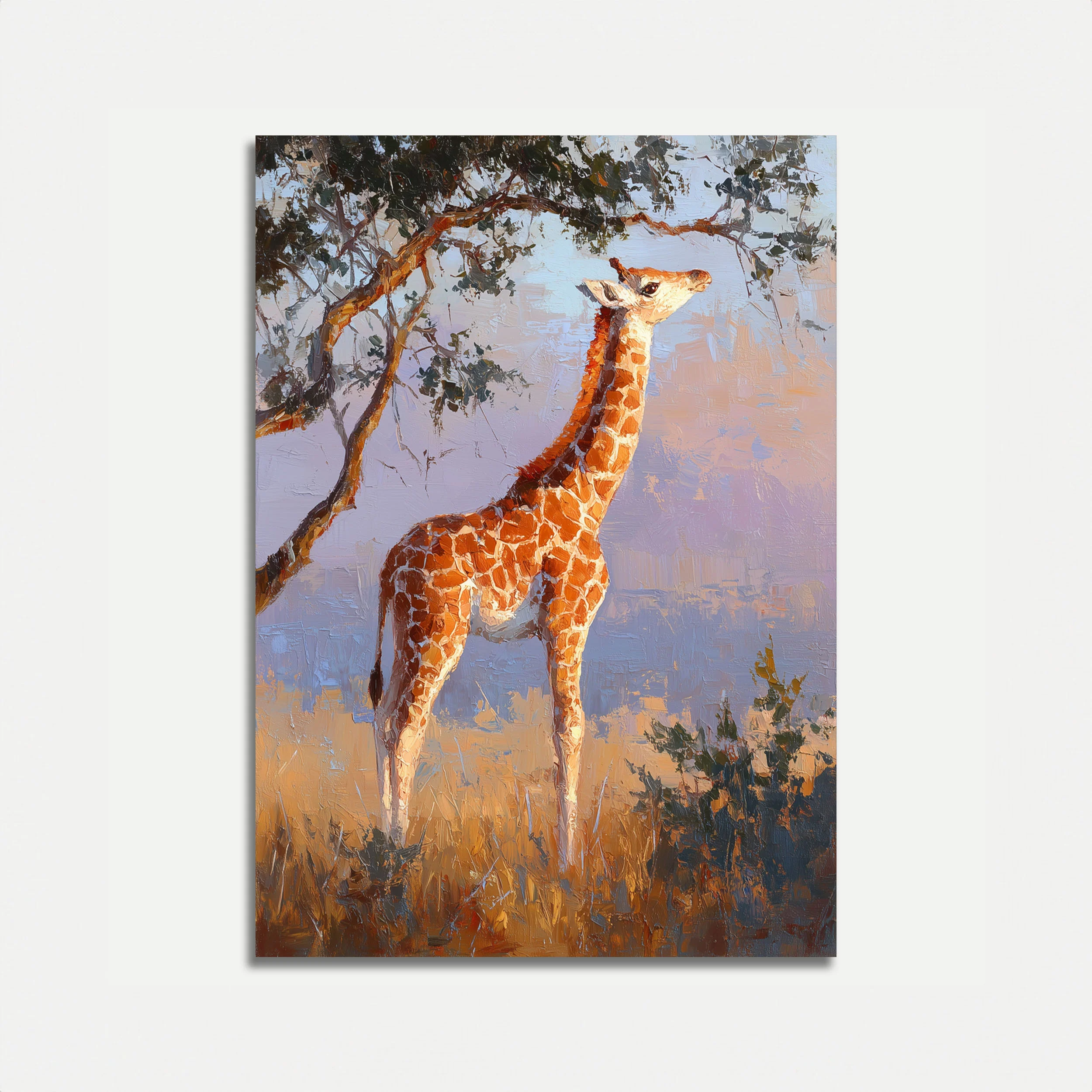 Giraffe Reaching for Acacia Poster