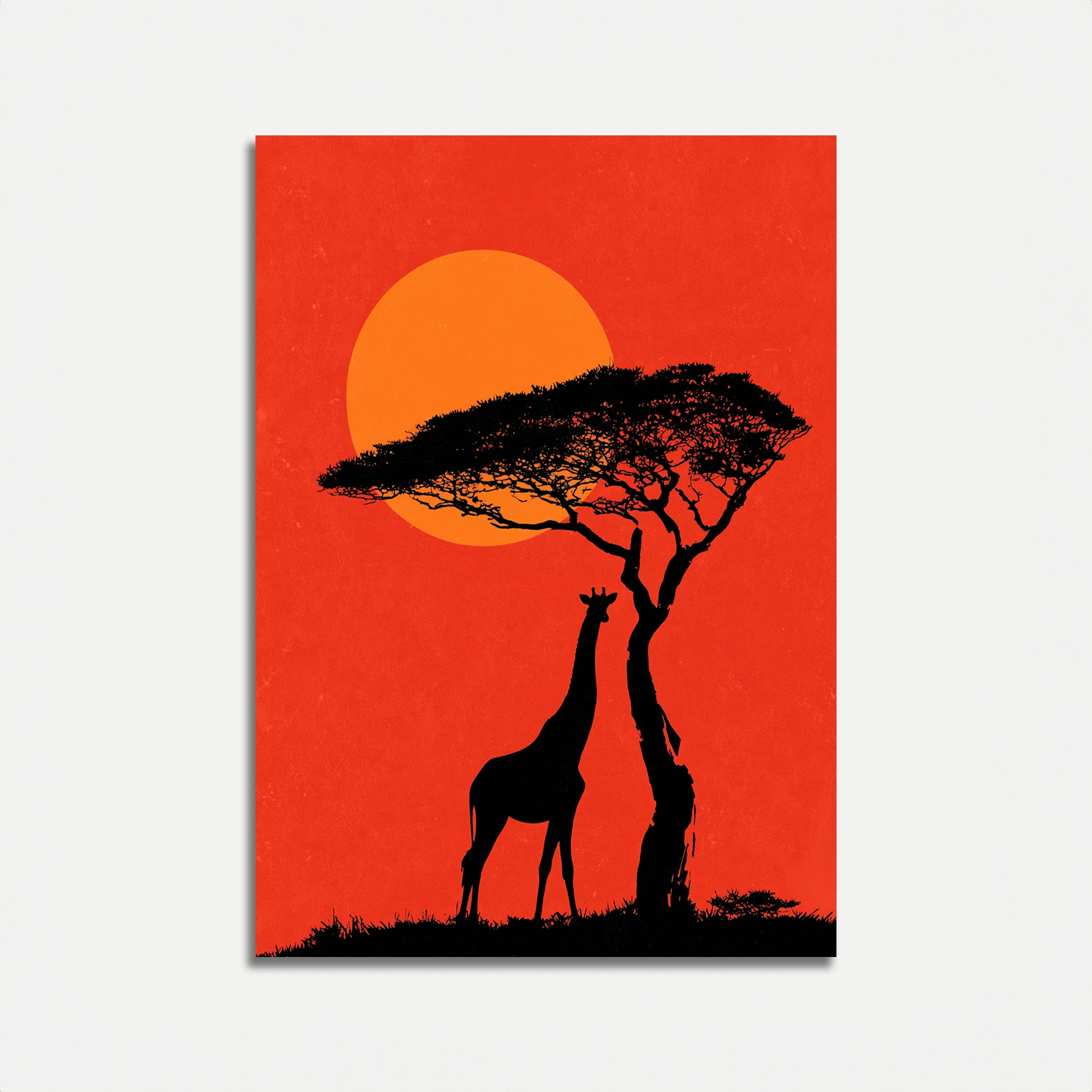 Giraffe Reaching for Acacia Tree Poster