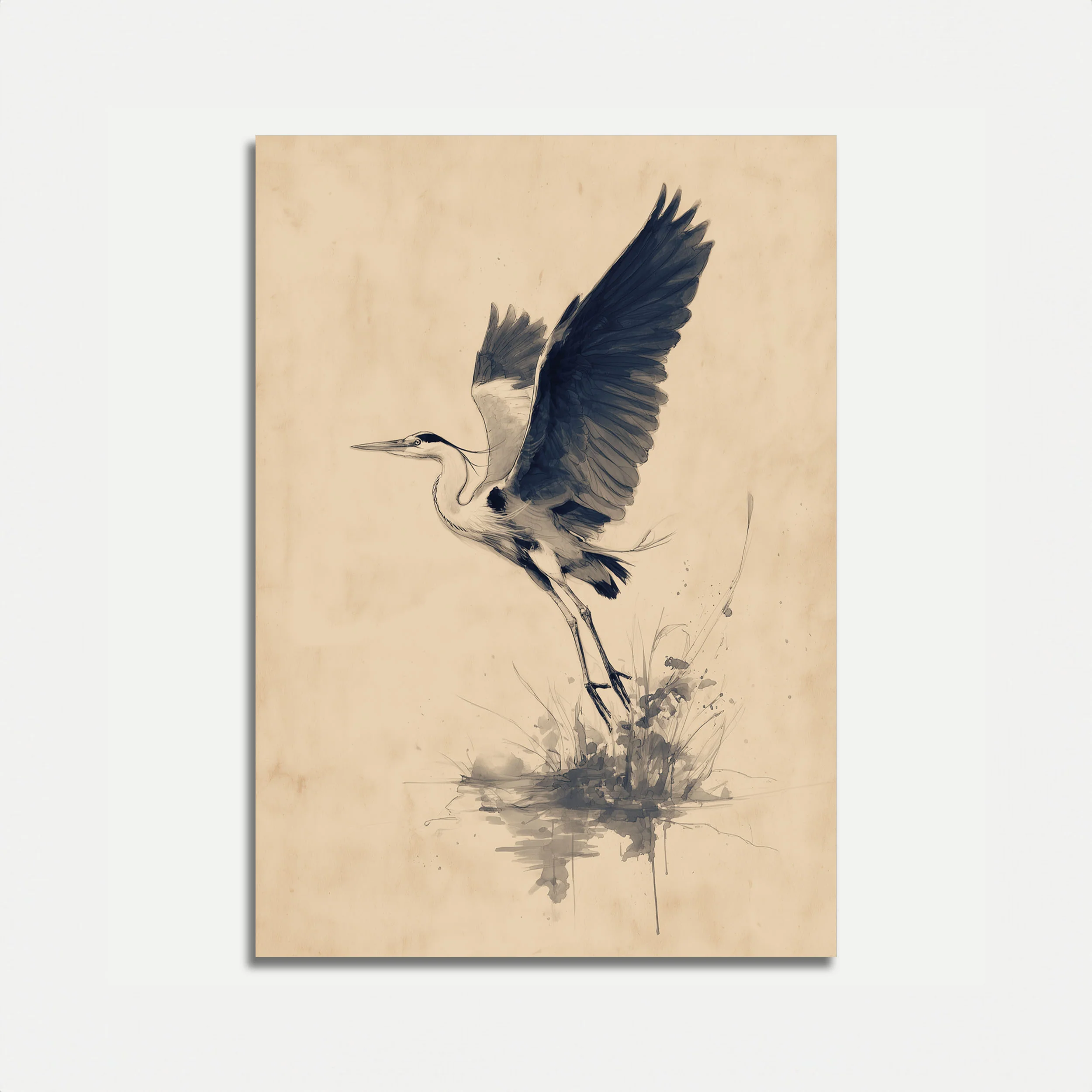 Great Blue Heron Taking Flight Poster