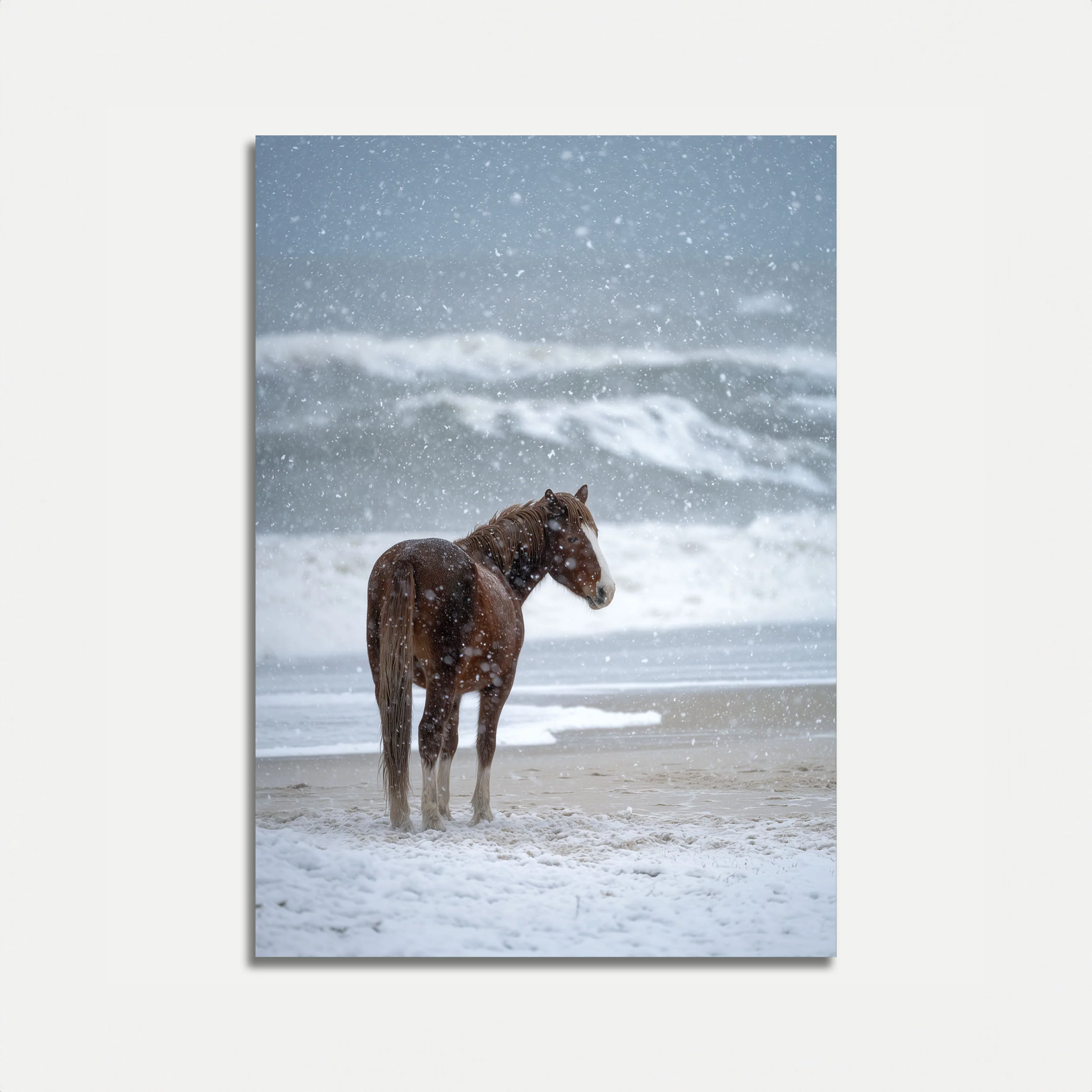 Lone Horse in Snowstorm Poster
