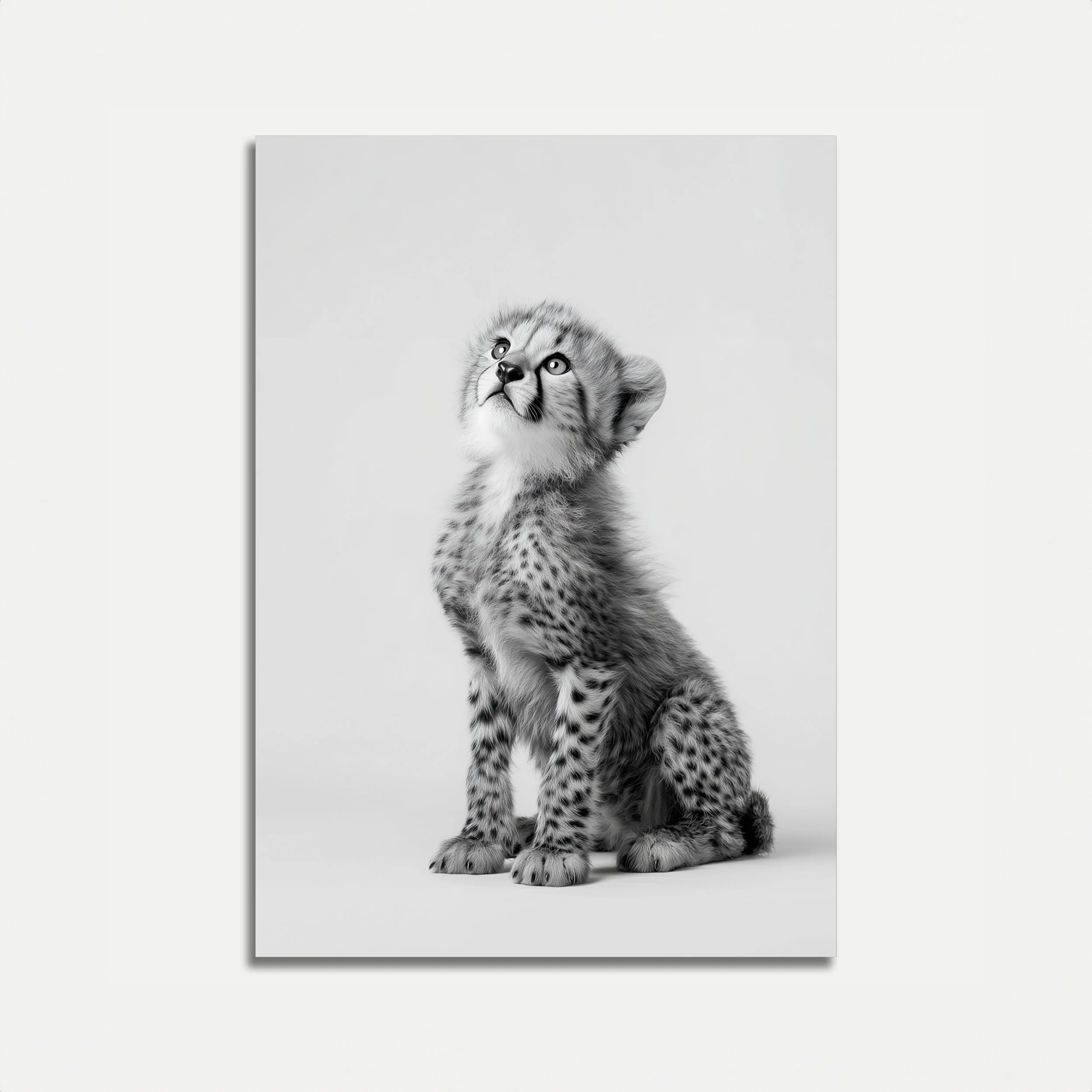 Majestic Cheetah Cub Poster