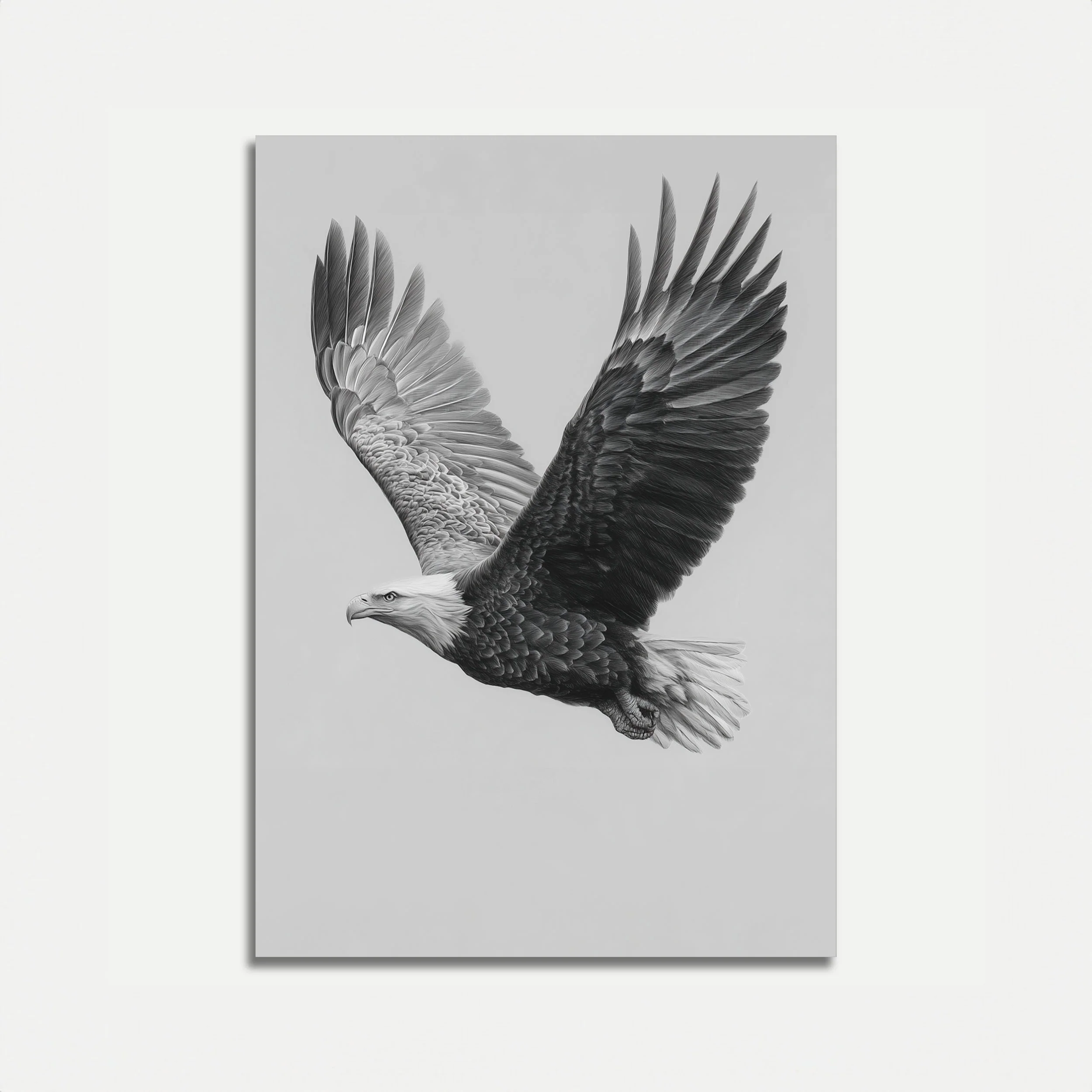 Majestic Eagle in Flight Poster