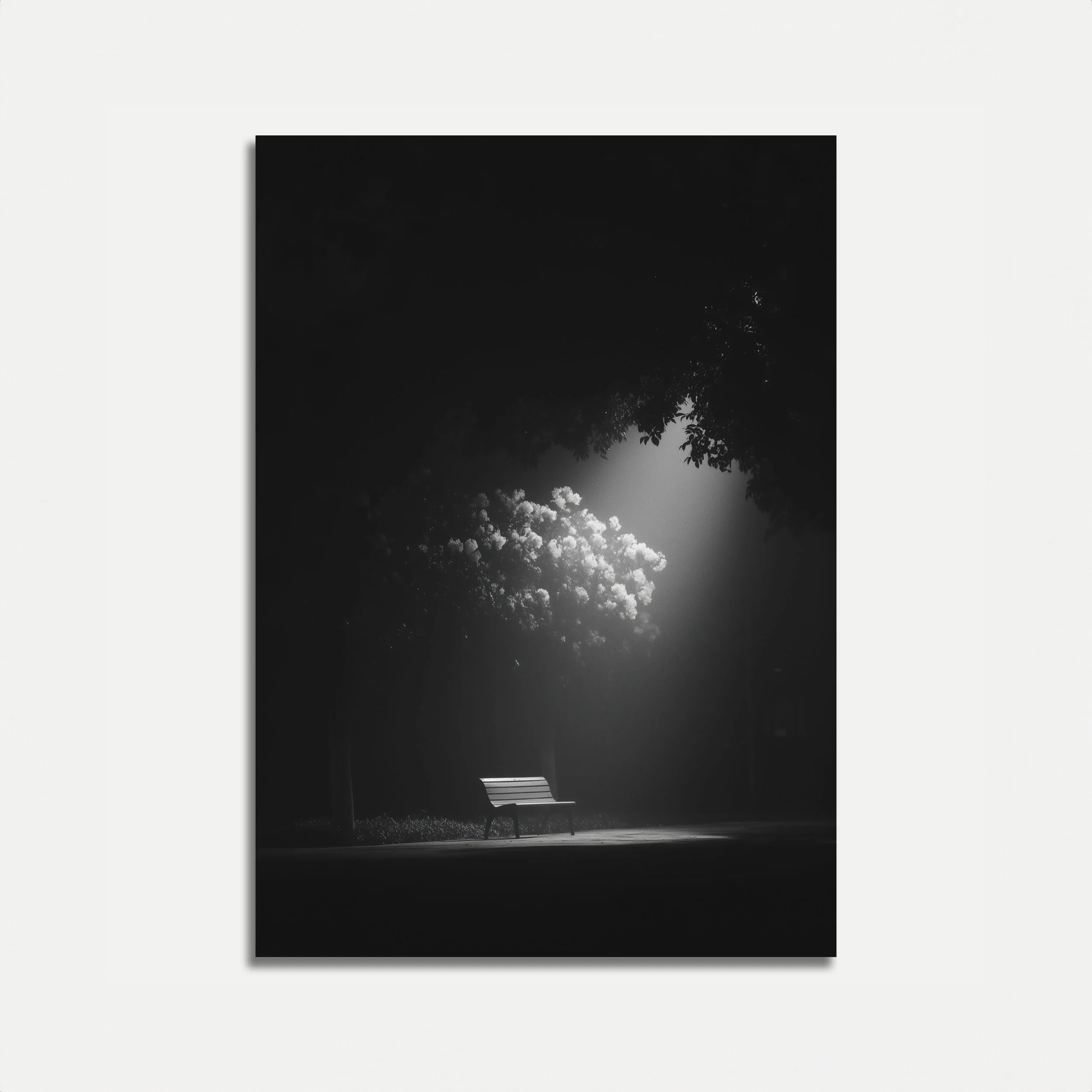 Midnight Park Solitude Poster