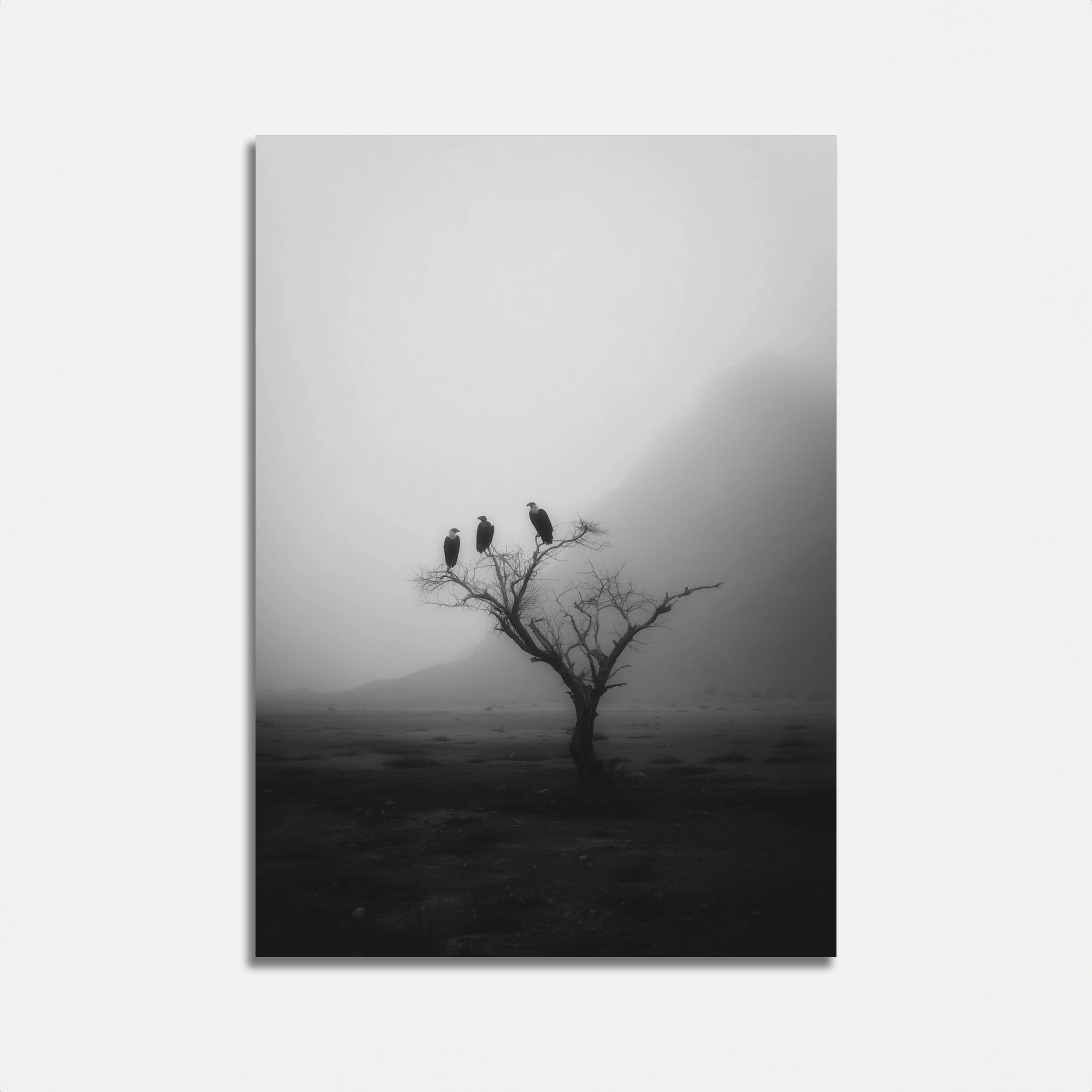 Misty Birds on Barren Tree Poster
