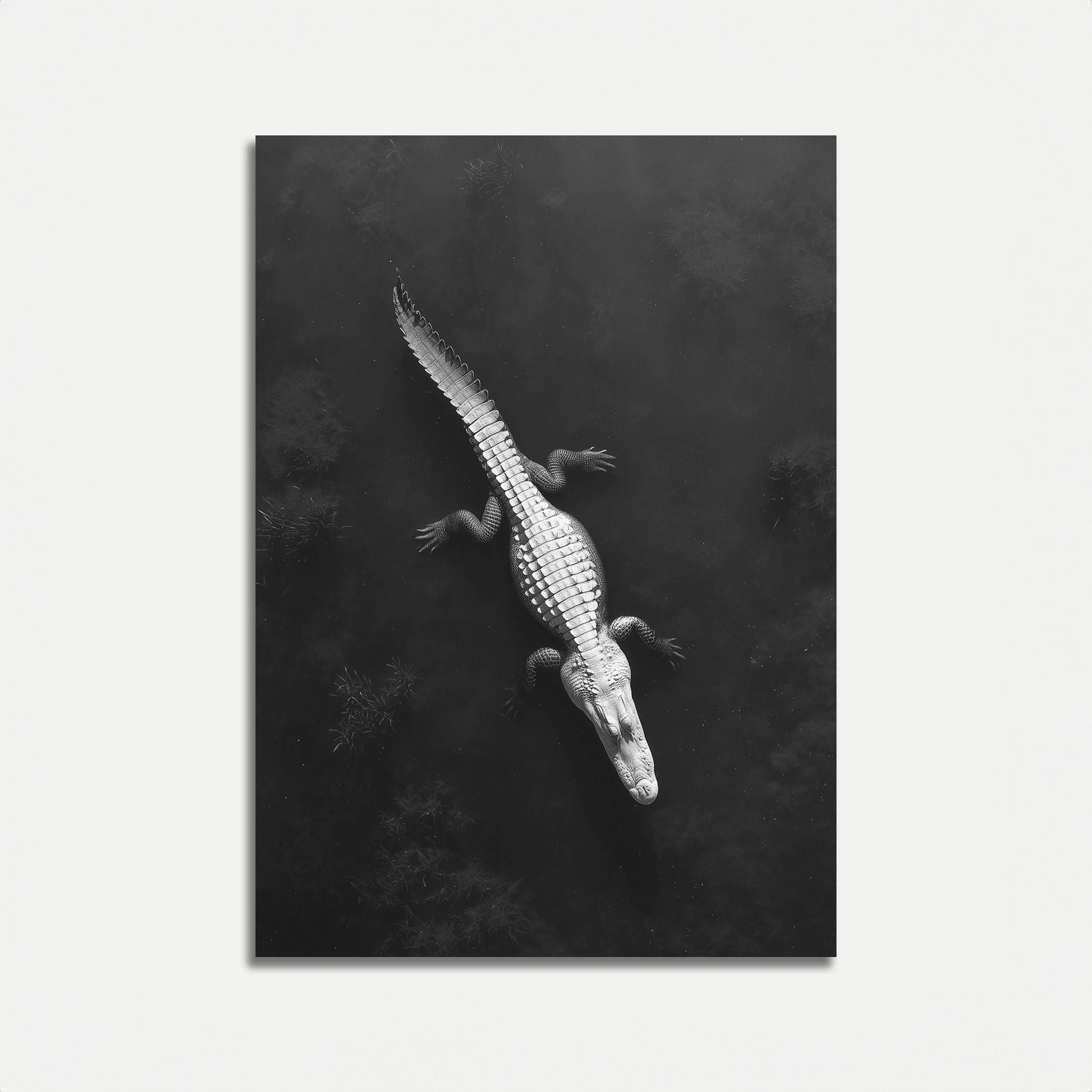 Monochrome Crocodile in Stillness Poster