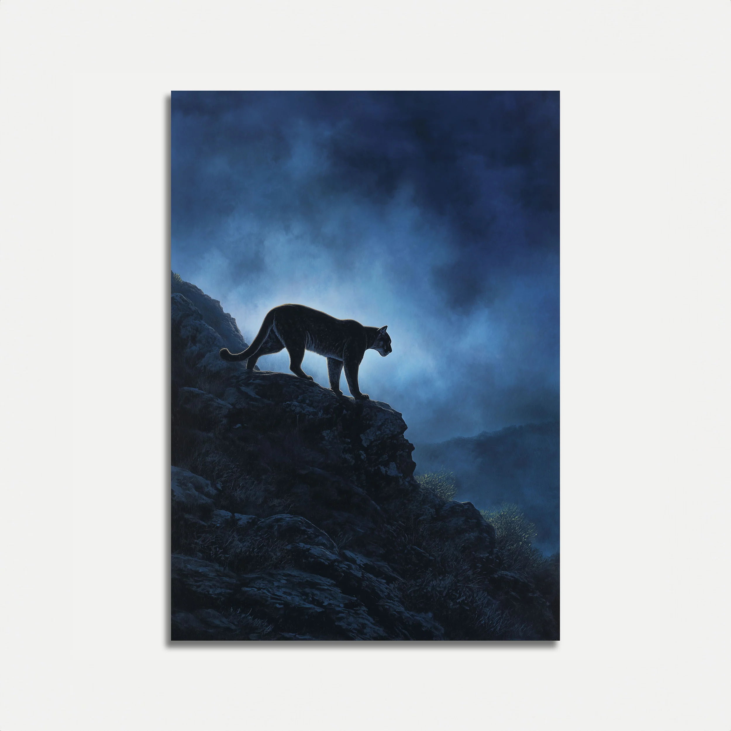 Panther on Mountain Peak Poster