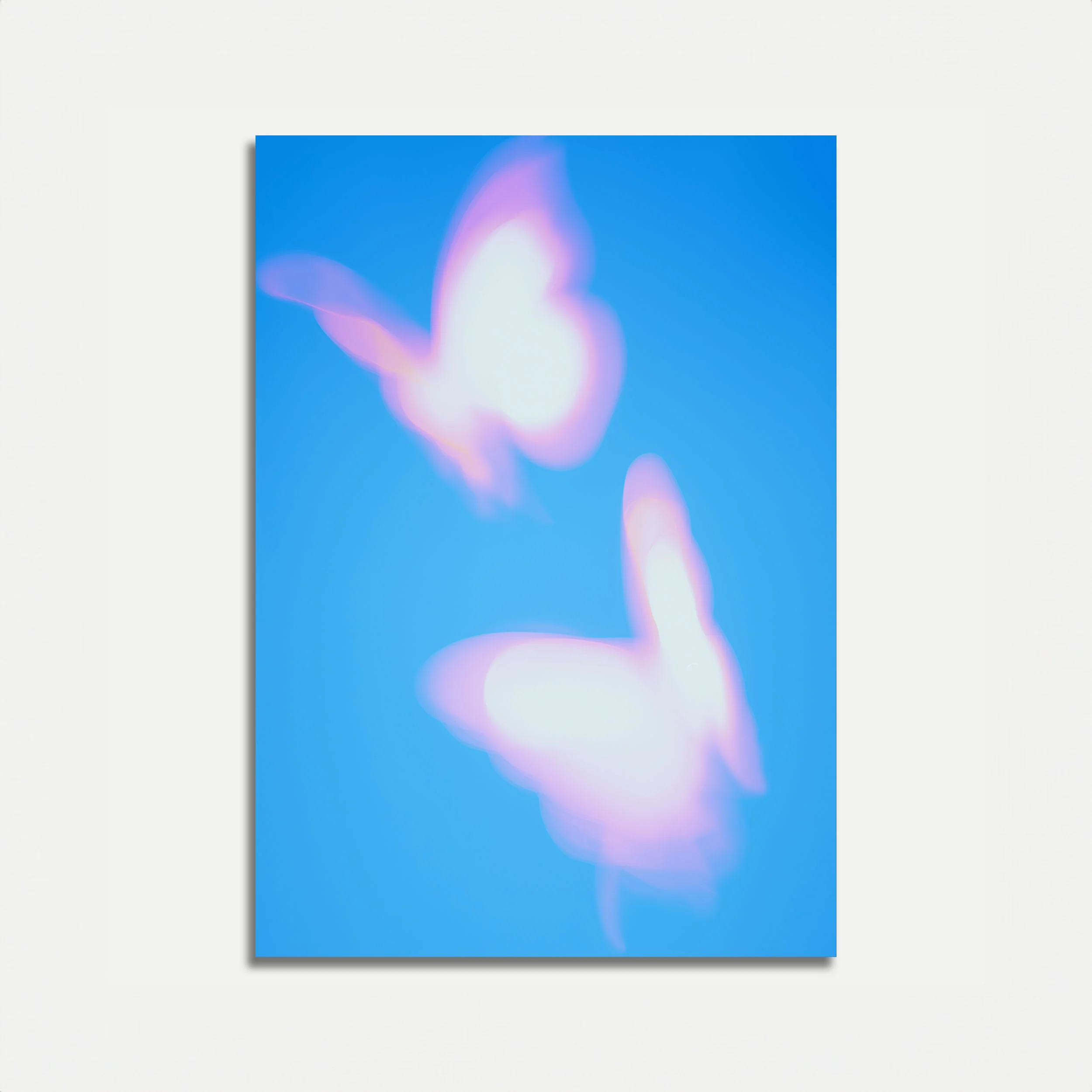 Pastel Butterfly Wings Poster