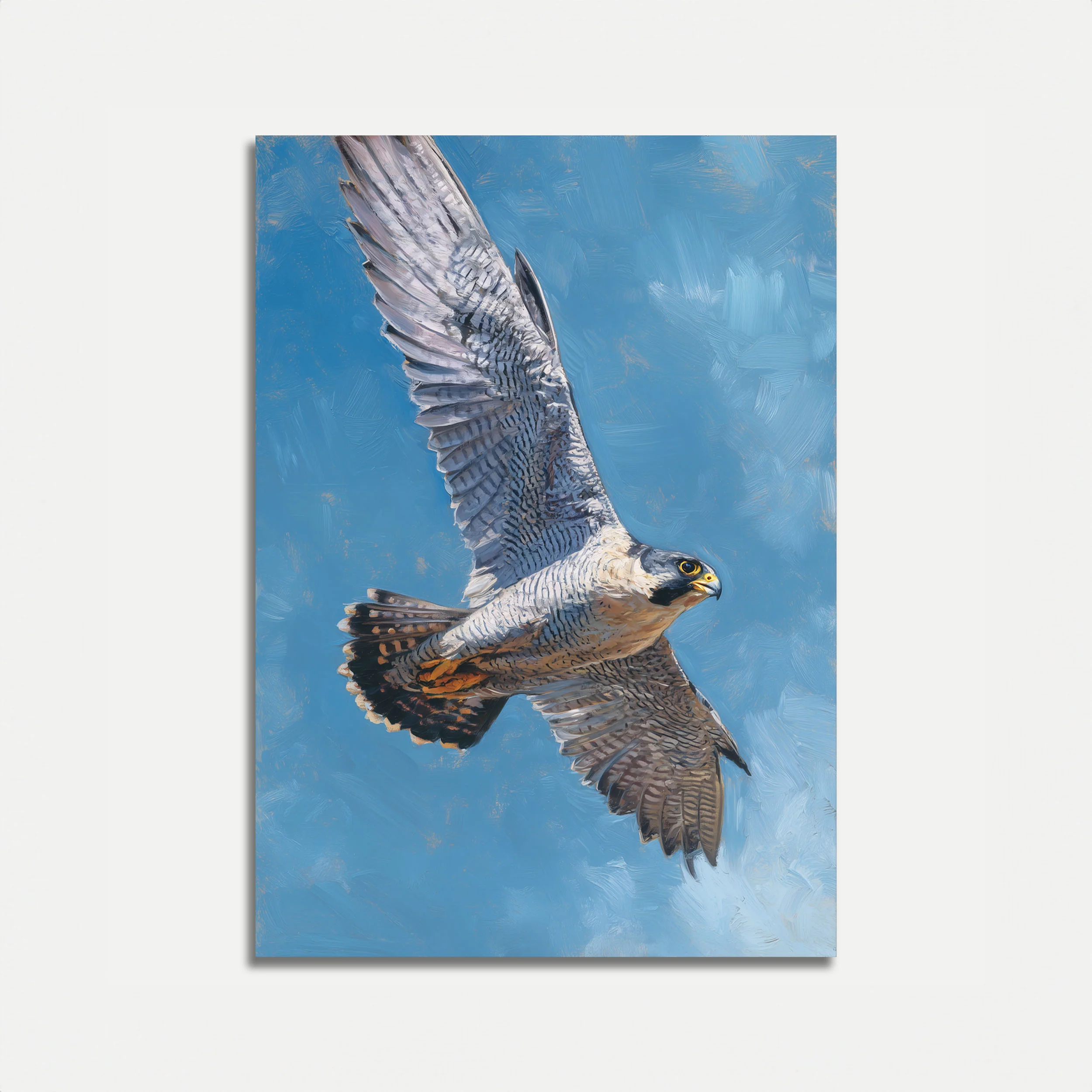 Peregrine Falcon in Flight Poster