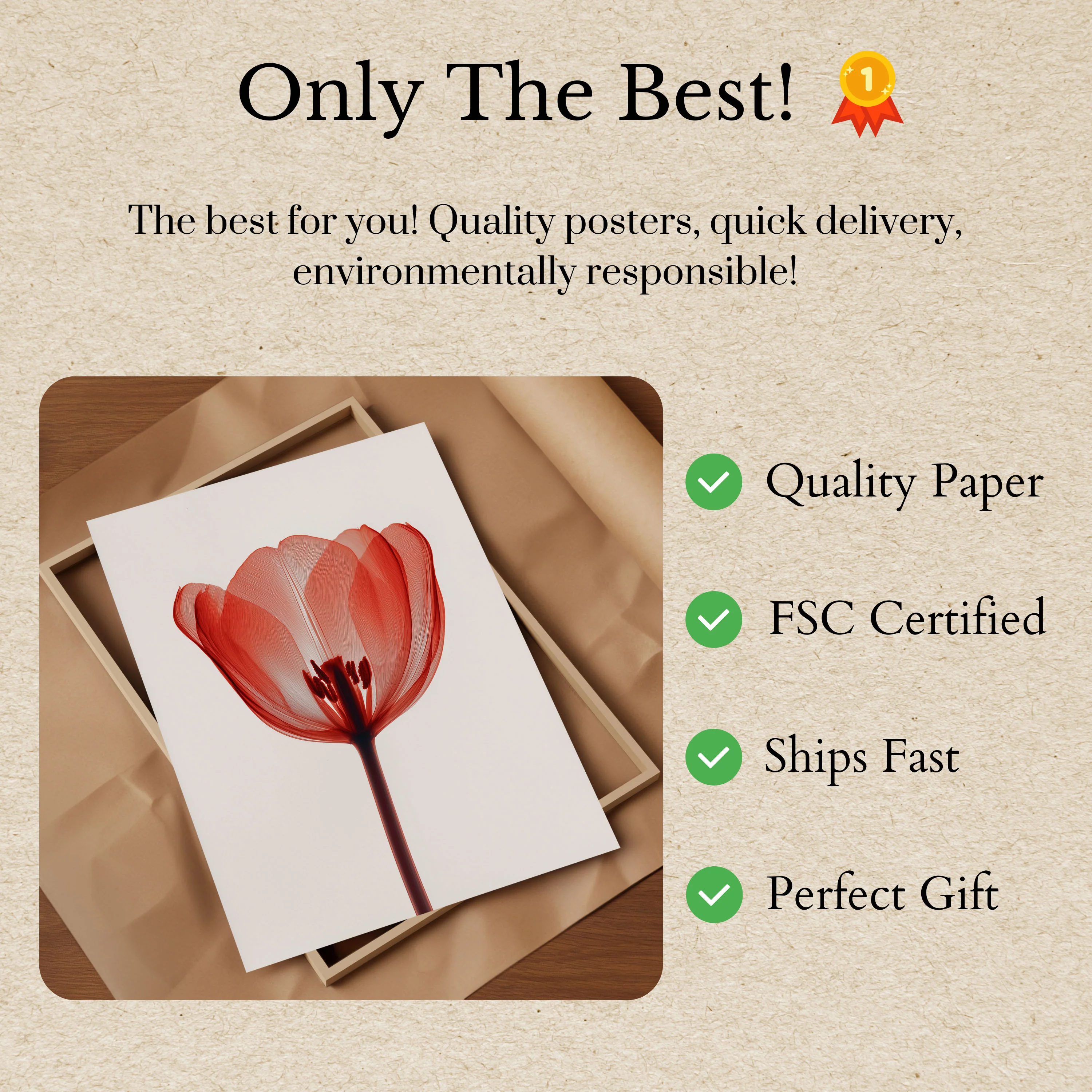 Red Tulip Close-up Poster - Image 3