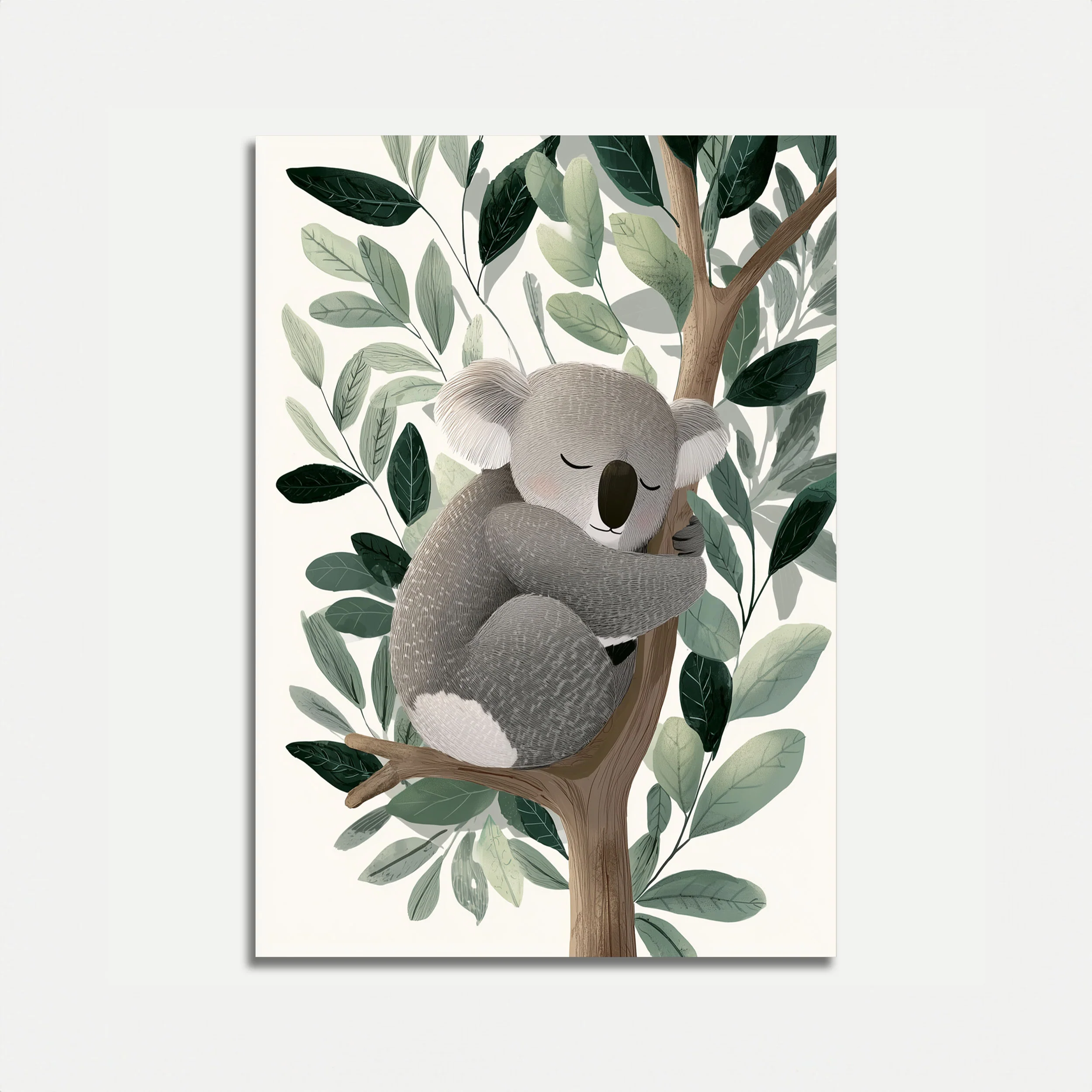 Sleeping Koala in Eucalyptus Poster