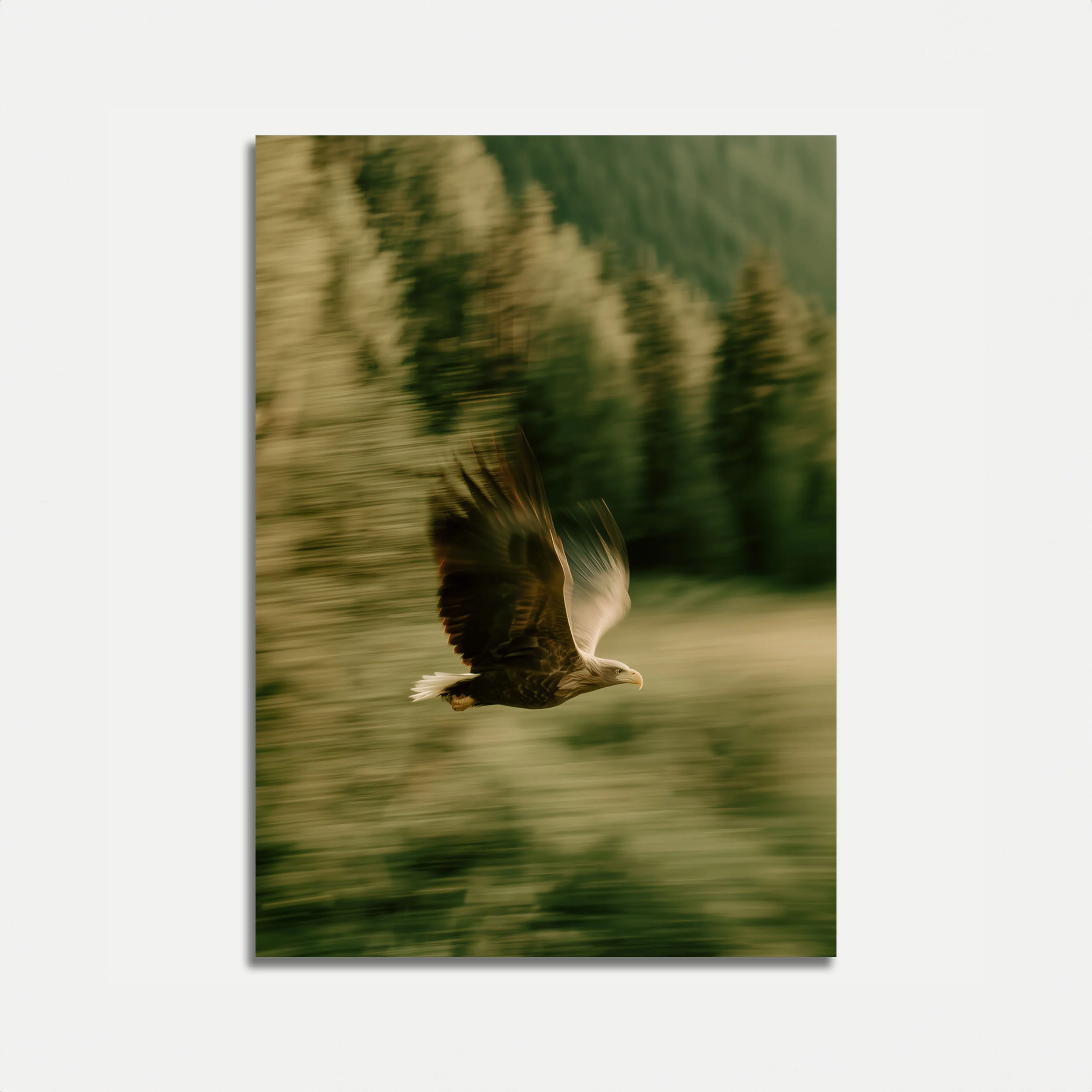 Soaring Eagle Forest Poster