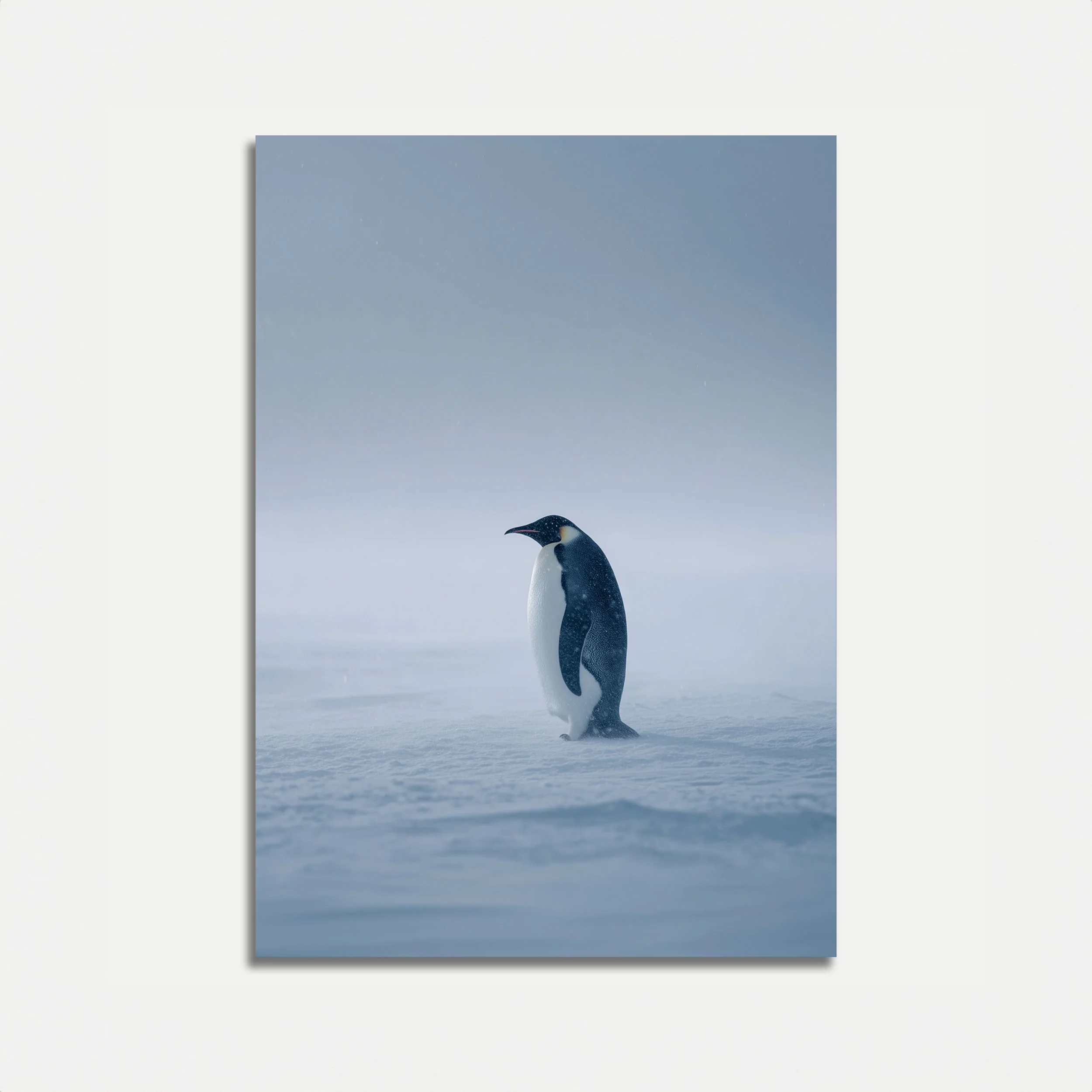 Solitary Emperor Penguin Poster