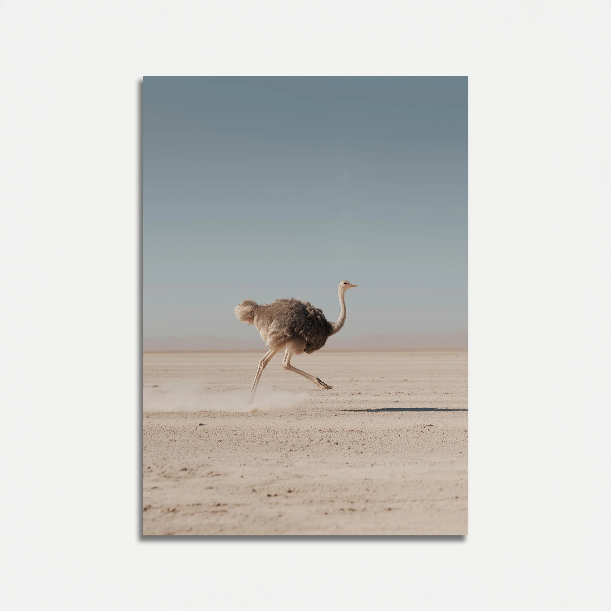 Sprinting Ostrich Desert Poster