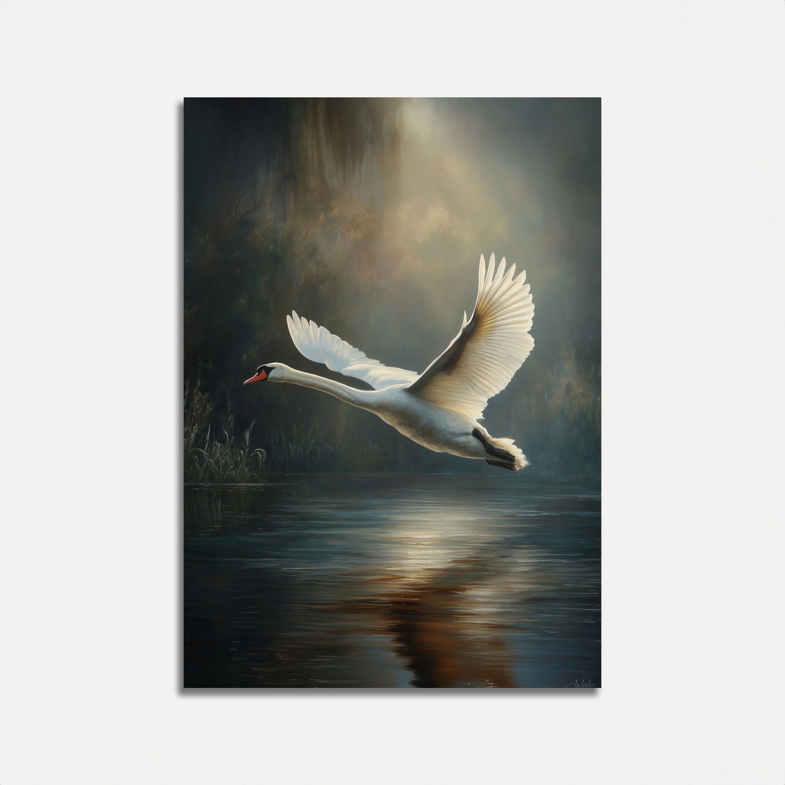 Swan in Flight Poster