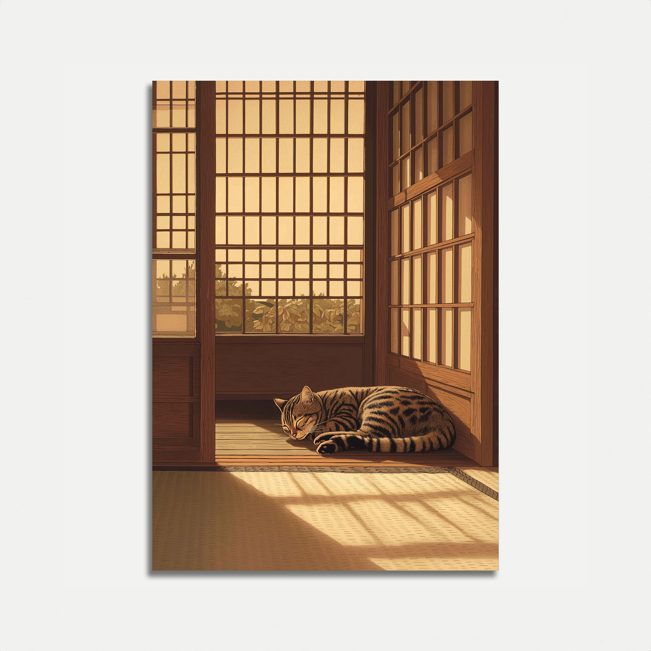 Tabby Cat Napping in Sunlight Poster