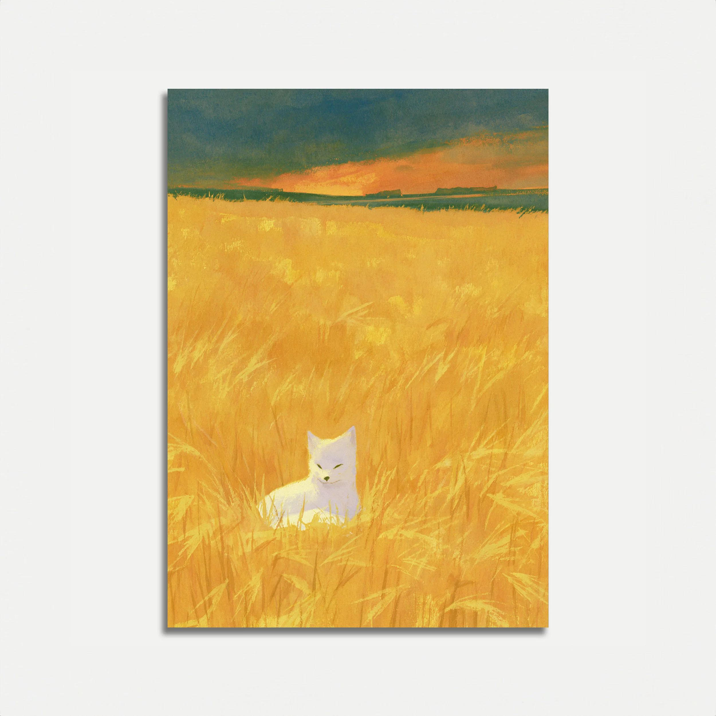 White Cat in Golden Wheat Field Poster