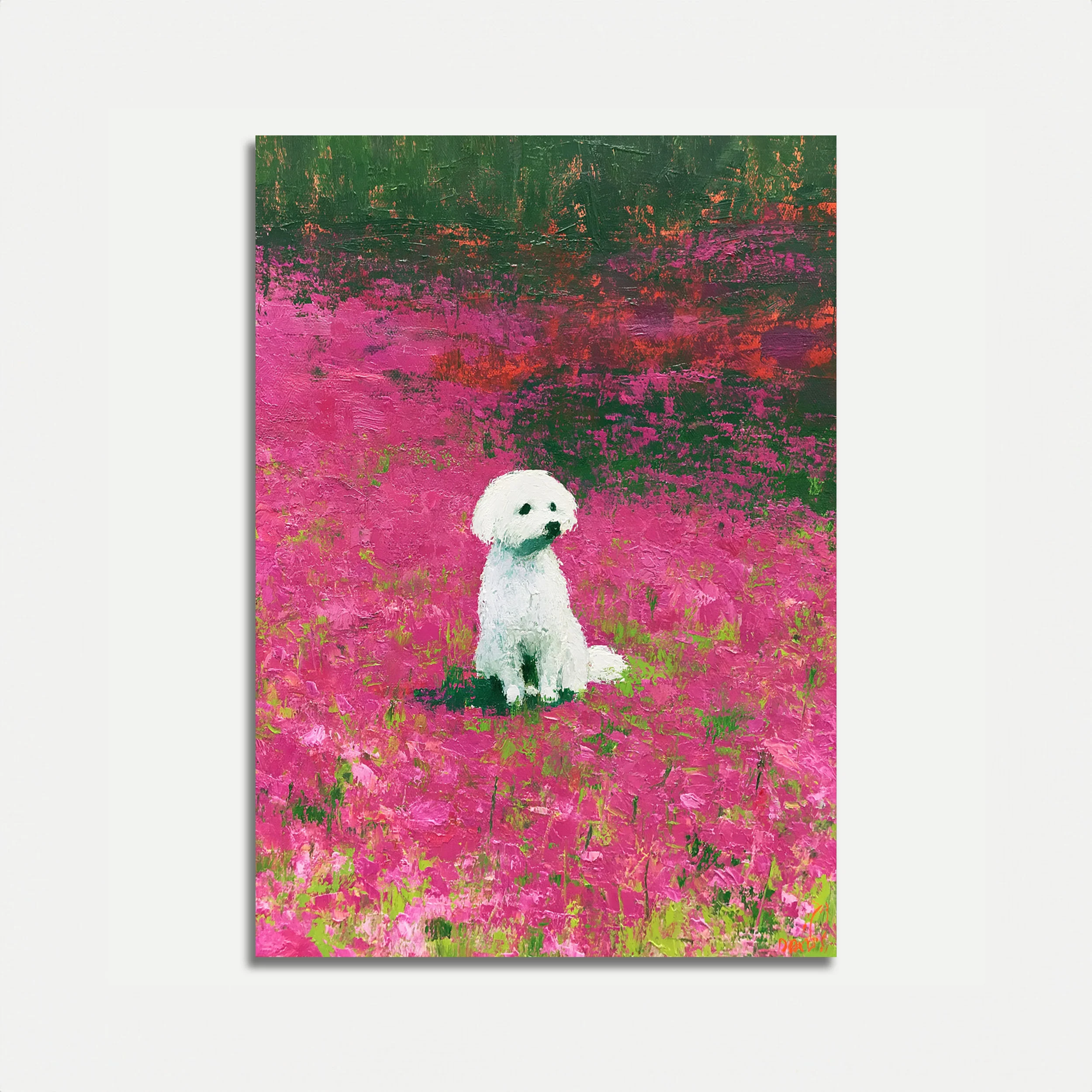 Animals
