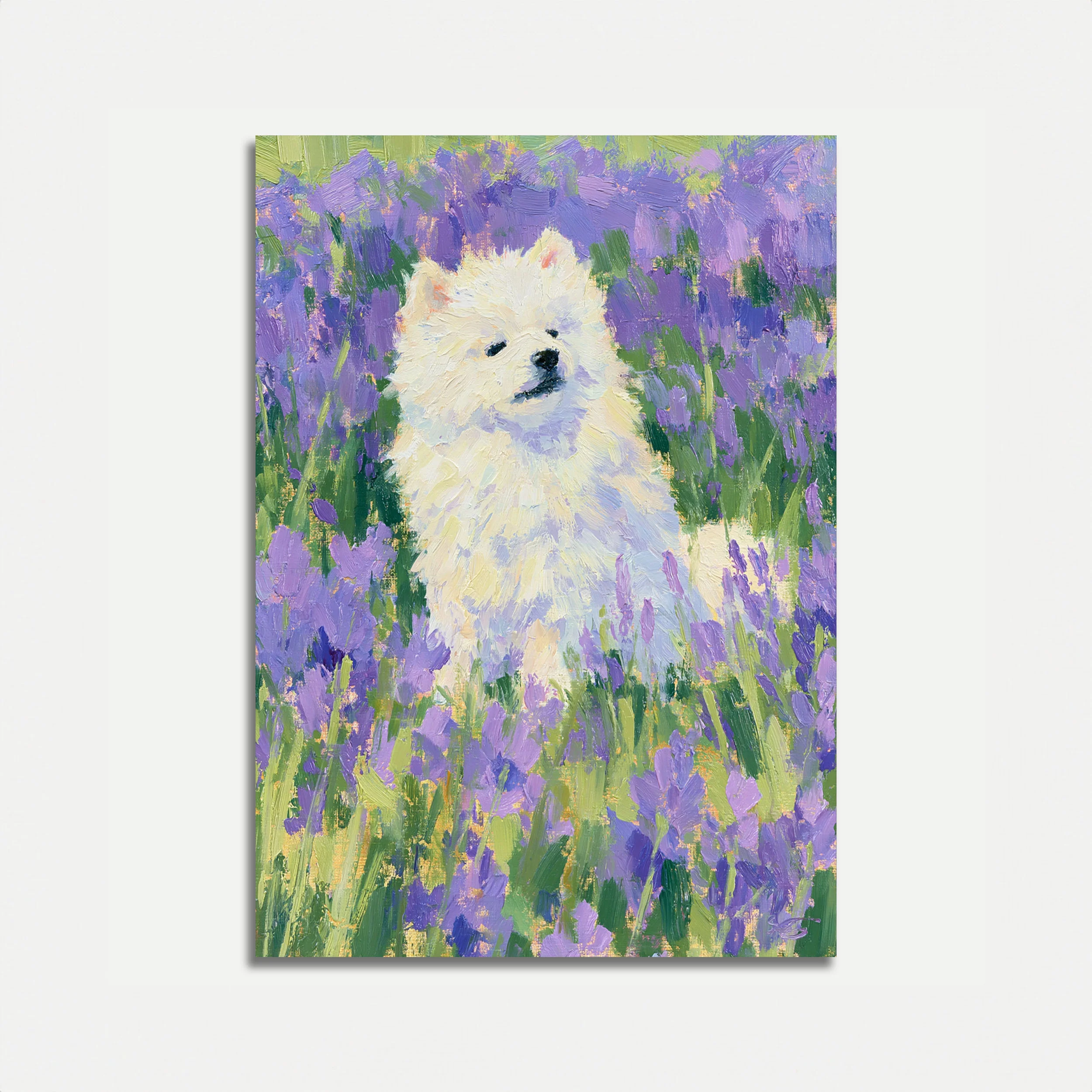 White Dog in Lavender Field Poster
