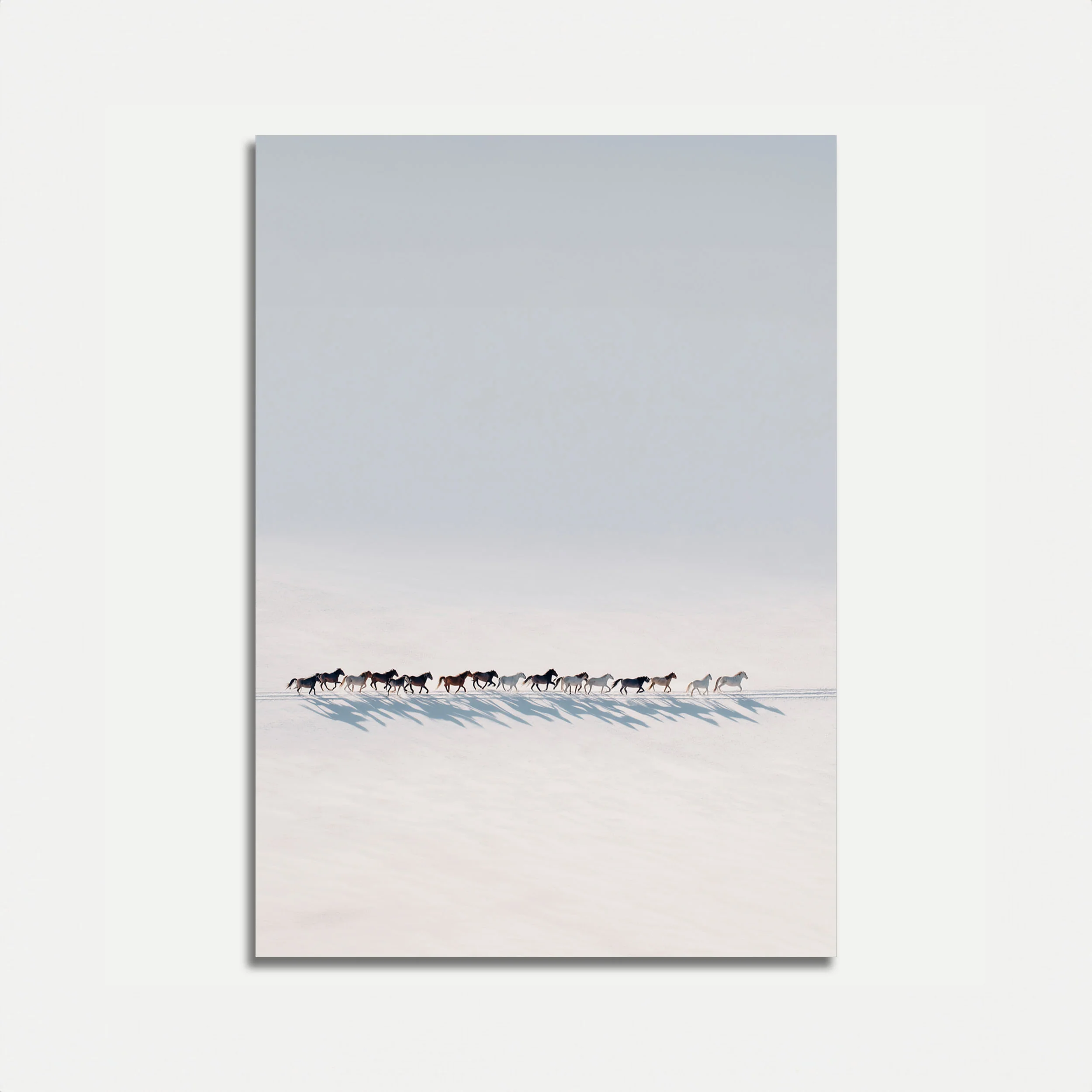Wild Horses Winter Migration Poster