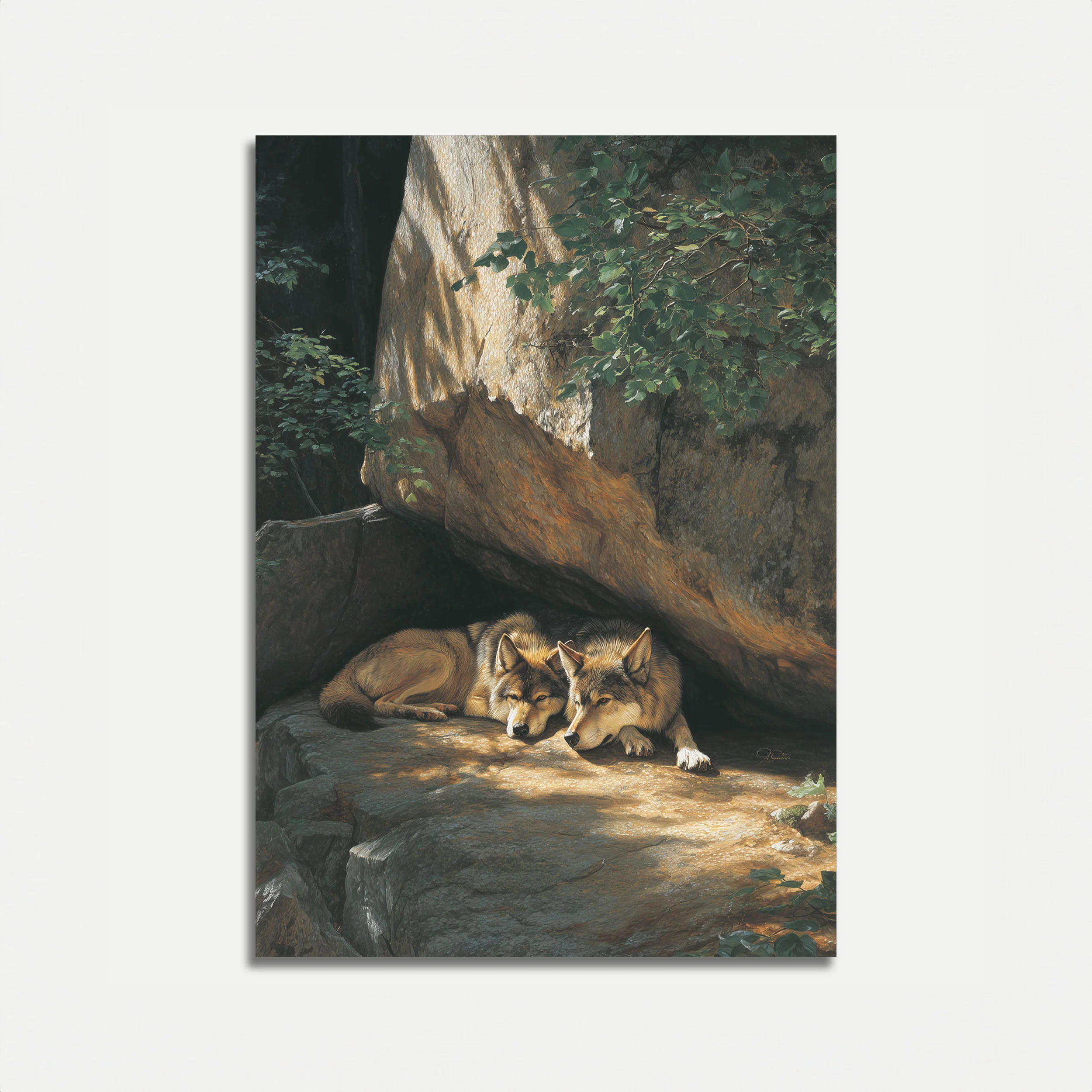Wolves Resting in Cave Poster